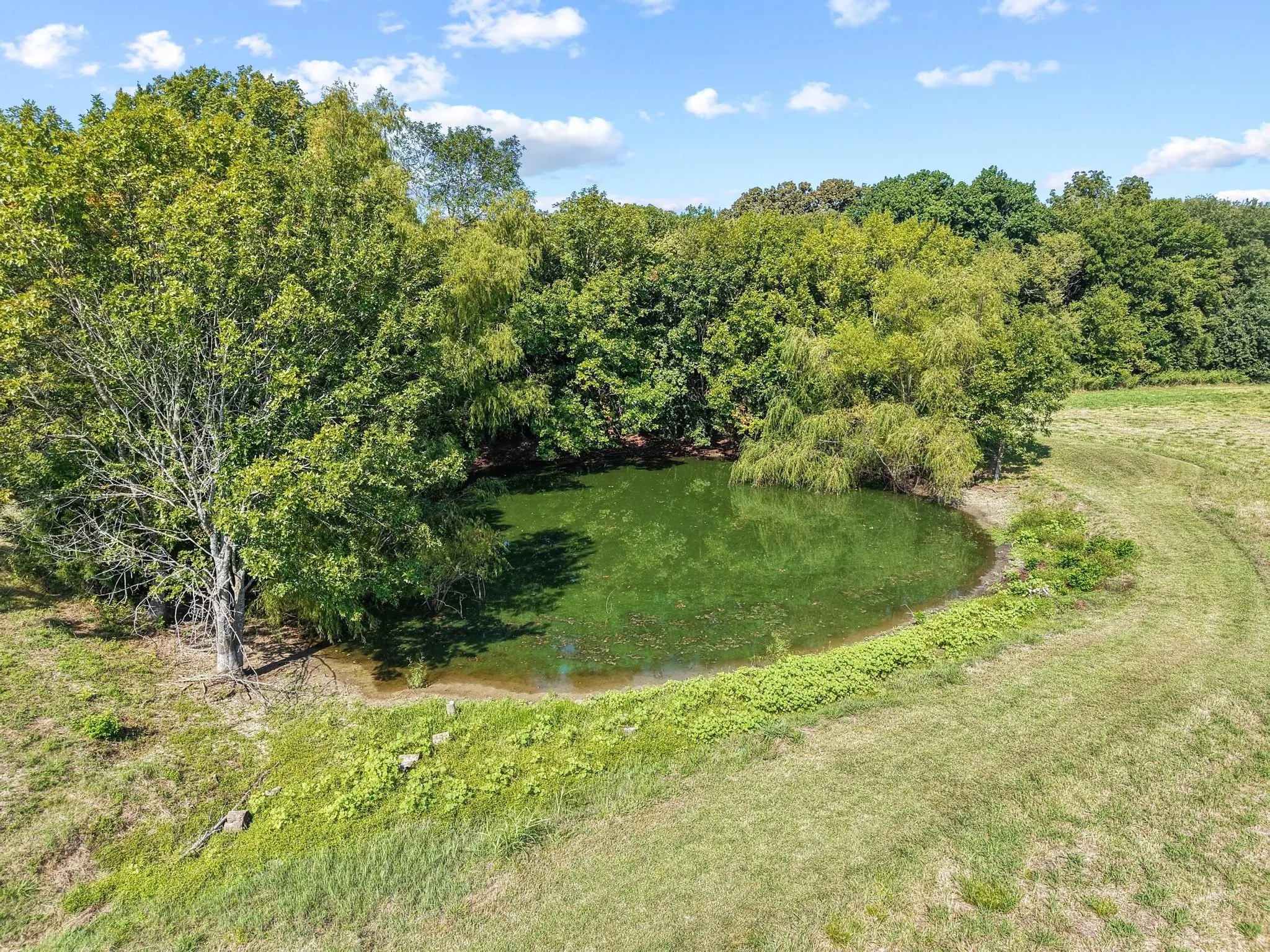 Single Family Residence For Sale in Fannin County , 11731 NW State Highway 11, Whitewright, Texas 75491, 3 Bedroom, 2 Bathroom, 2 Garage spaces, 2,400 Sqft, built in 1942, mls#21386507, Real Estate Agent in Whitewright, Homes For Sale in Fannin county, Homes For Sale in Whitewright, Realtor in Whitewright Texas, Real Estate Brokerage Independent Realty Texas, Luminita Cordes Realtor