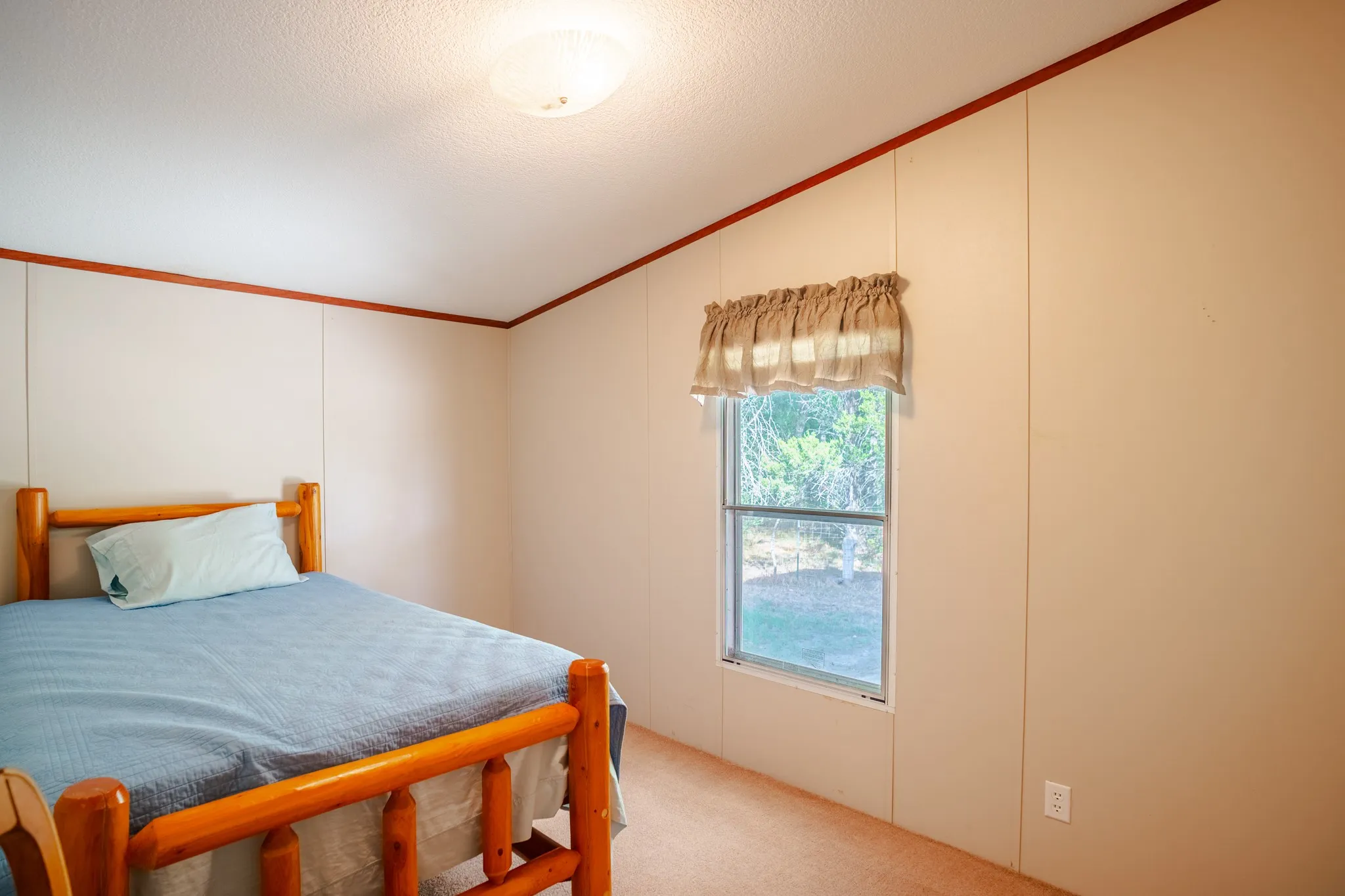 Carpeted room featuring a single window and ceiling-mounted lighting