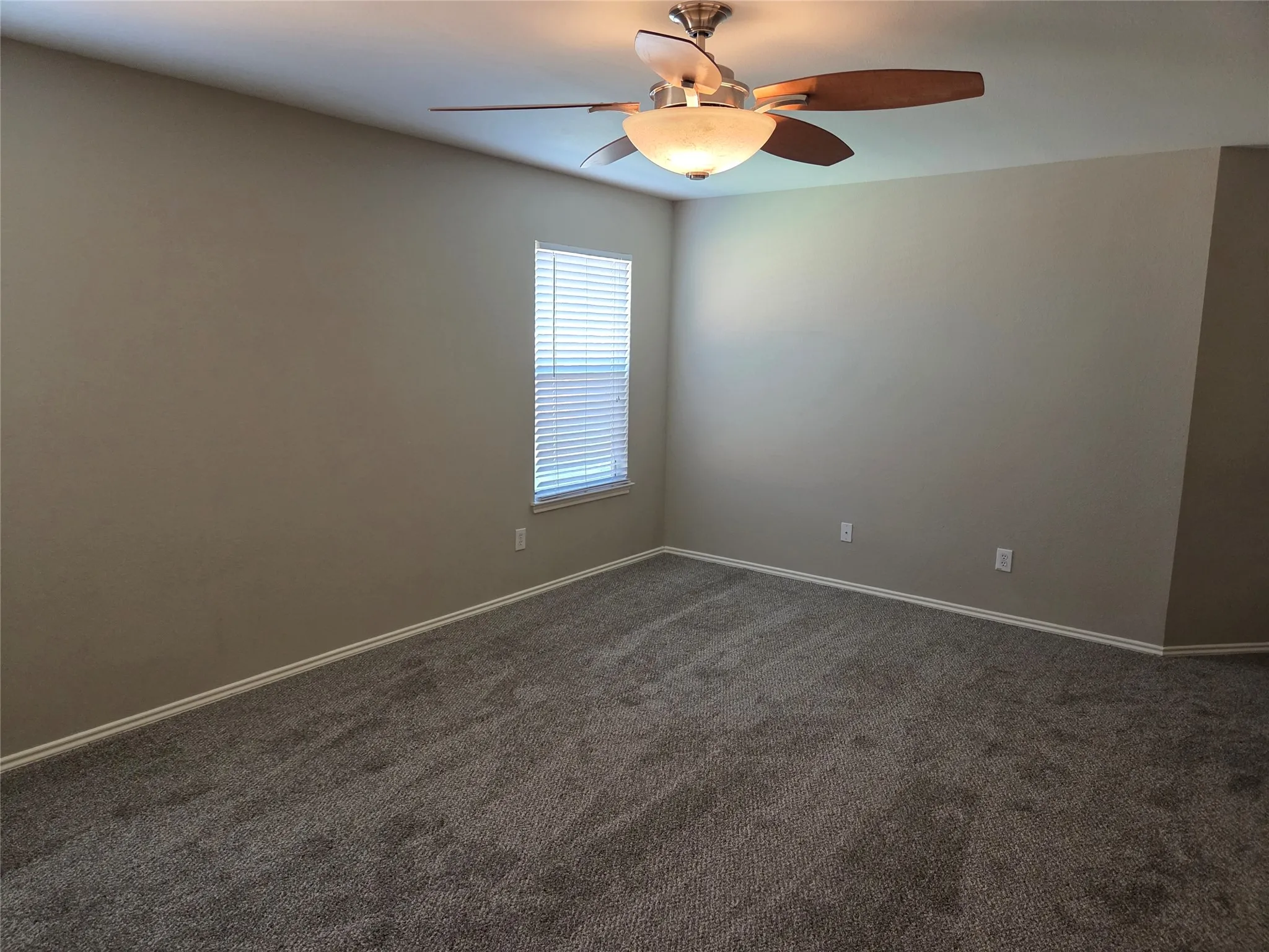 Primary Bedroom has BRAND NEW carpet!