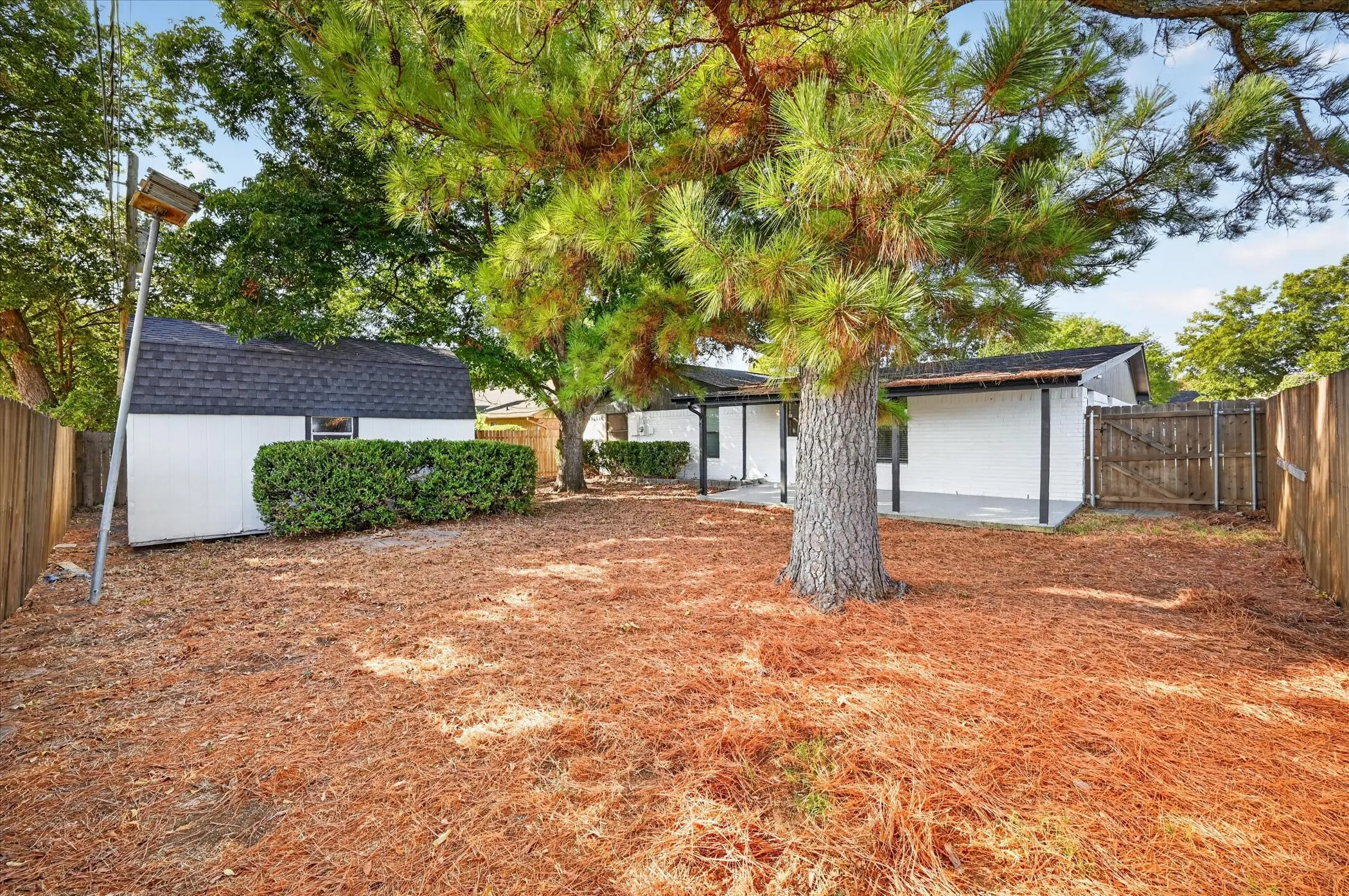Expansive outdoor space featuring mature trees, a wooden privacy fence, a detached storage shed, and a covered concrete patio