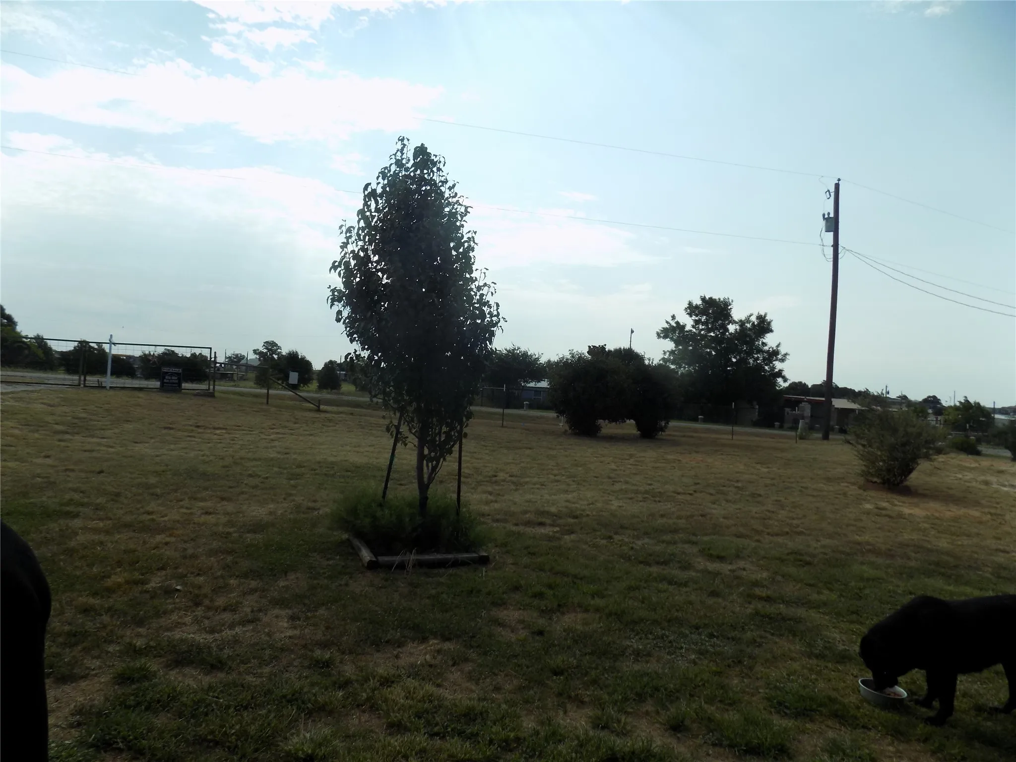 View from front porch toward main gate at the street.