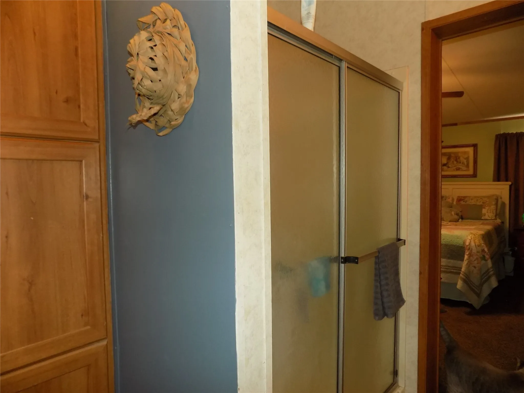 Separate shower enclosure with frosted glass panels and a framed door, off primary bedroom.