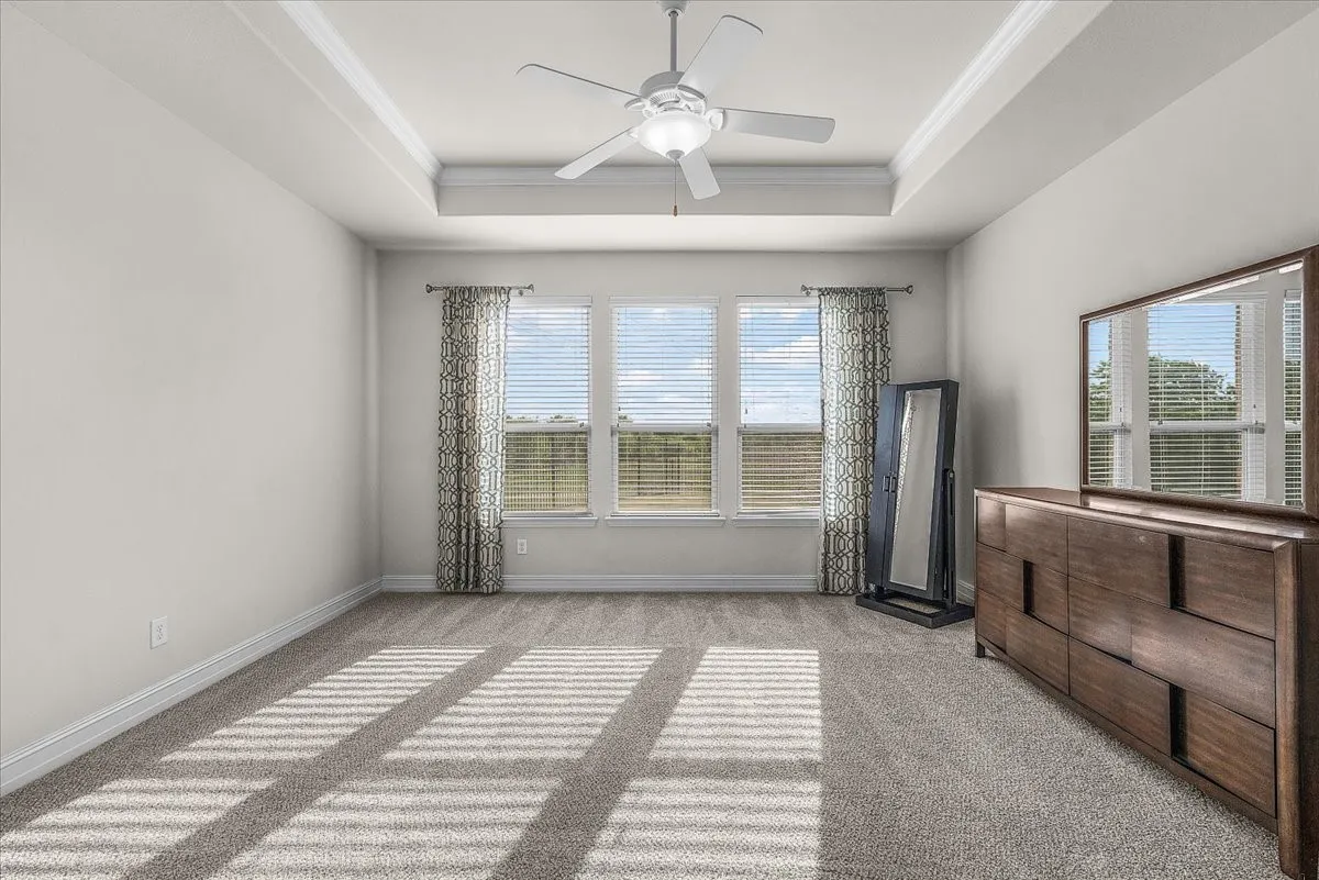 Tray ceiling with a ceiling fan, light-colored carpet, and multiple windows with blinds