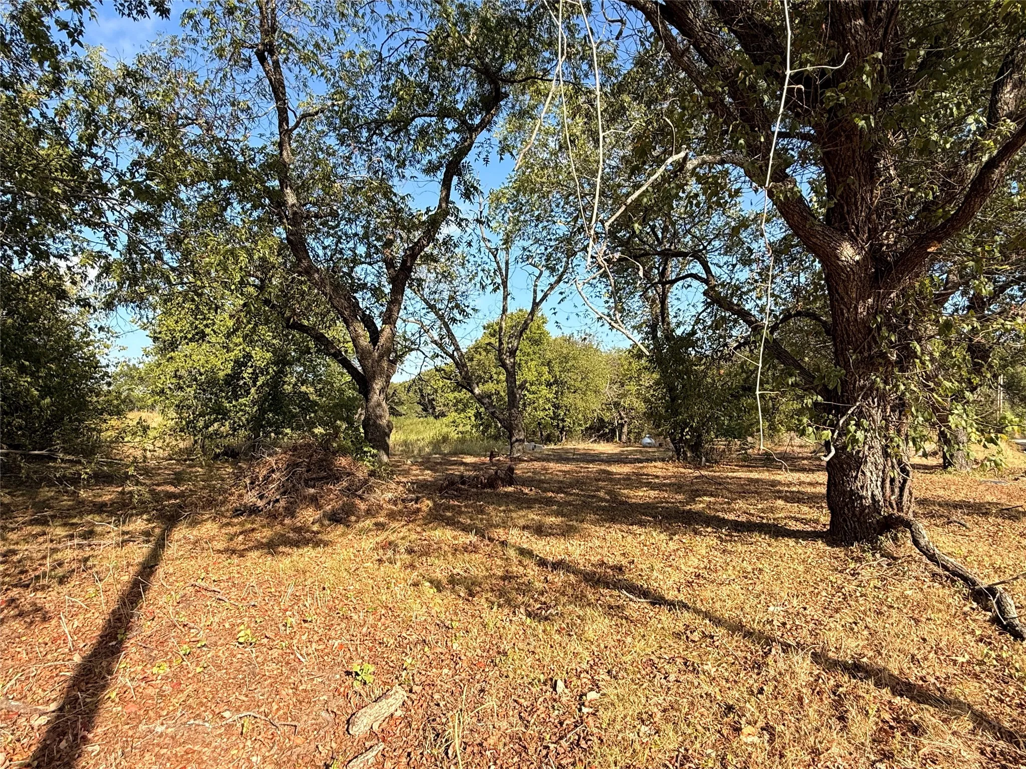 Improved Land For Sale in Hill County , 519 N Barron Road, Covington, Texas 76636, 0, 0, Garage spaces, 0 Sqft, built in 0, mls#21388160, Real Estate Agent in Covington, Homes For Sale in Hill county, Homes For Sale in Covington, Realtor in Covington Texas, Real Estate Brokerage Independent Realty Texas, Luminita Cordes Realtor