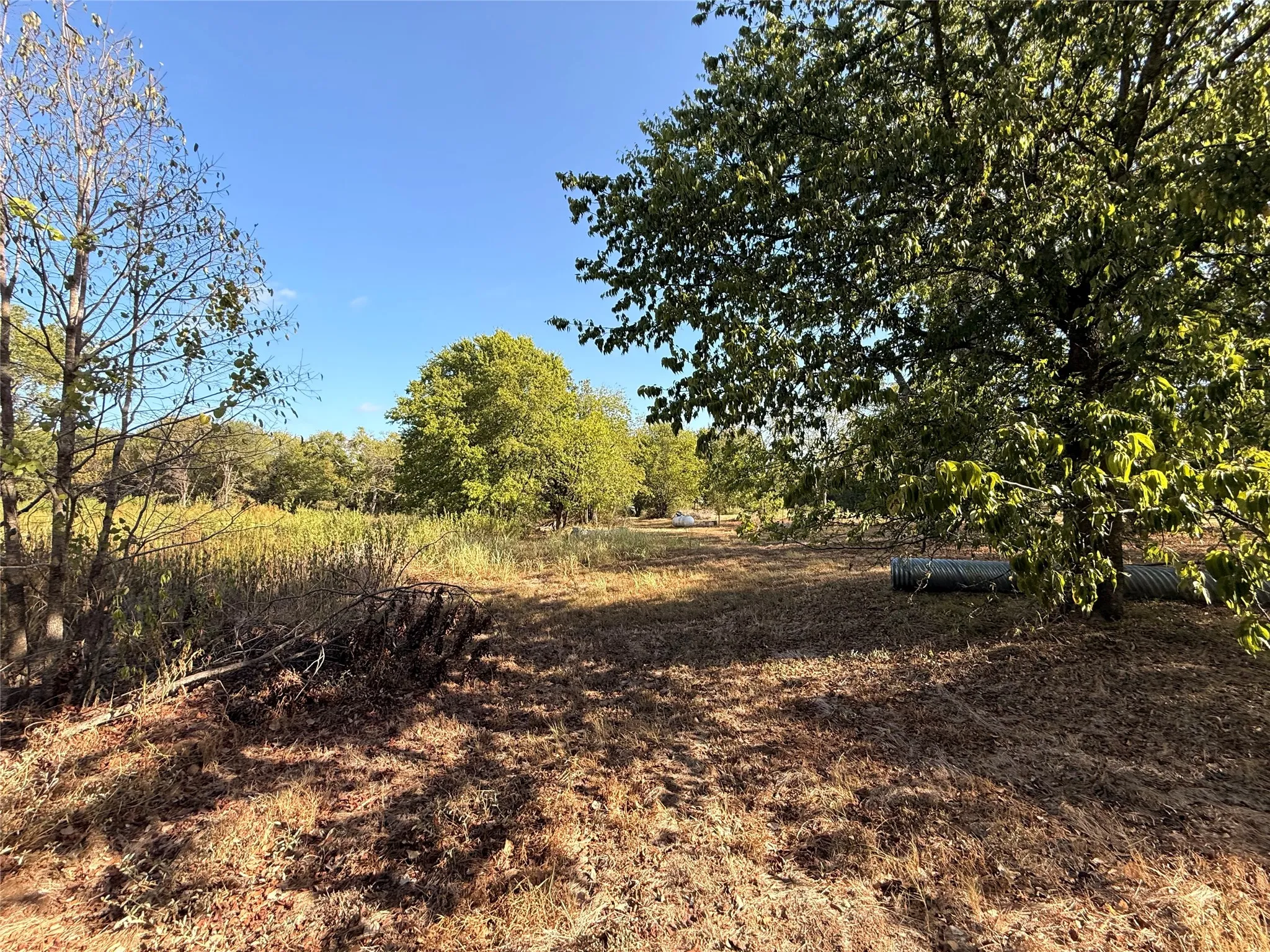 Improved Land For Sale in Hill County , 519 N Barron Road, Covington, Texas 76636, 0, 0, Garage spaces, 0 Sqft, built in 0, mls#21388160, Real Estate Agent in Covington, Homes For Sale in Hill county, Homes For Sale in Covington, Realtor in Covington Texas, Real Estate Brokerage Independent Realty Texas, Luminita Cordes Realtor