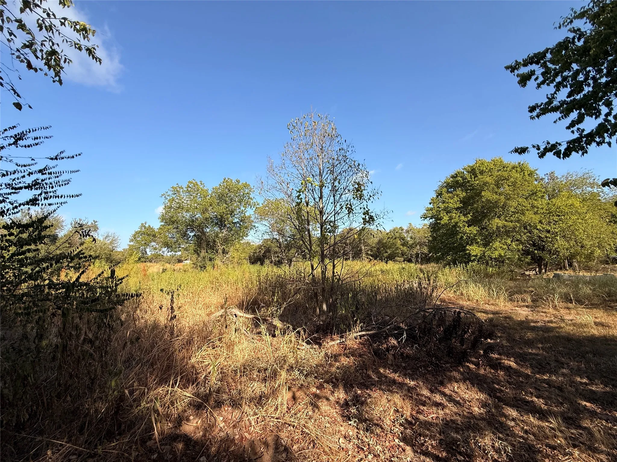 Improved Land For Sale in Hill County , 519 N Barron Road, Covington, Texas 76636, 0, 0, Garage spaces, 0 Sqft, built in 0, mls#21388160, Real Estate Agent in Covington, Homes For Sale in Hill county, Homes For Sale in Covington, Realtor in Covington Texas, Real Estate Brokerage Independent Realty Texas, Luminita Cordes Realtor