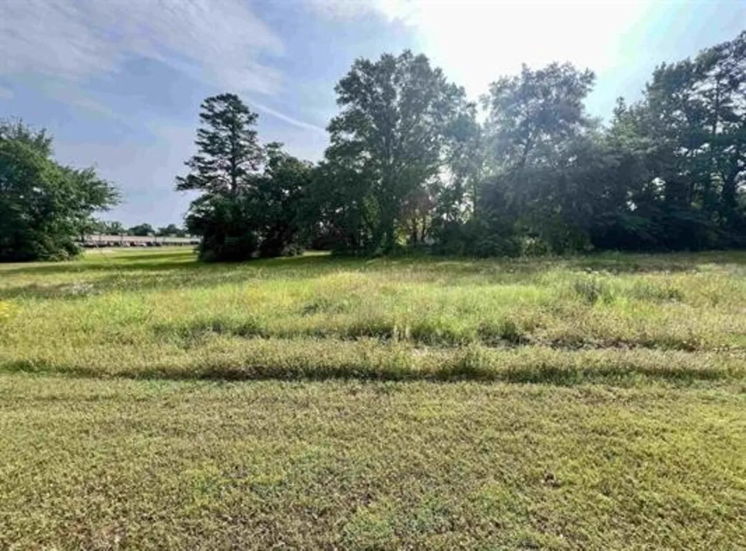 Unimproved Land For Sale in Upshur County , TBD 271/300 Highway, Gilmer, Texas 75644, 0, 0, Garage spaces, 0 Sqft, built in 0, mls#21388321, Real Estate Agent in Gilmer, Homes For Sale in Upshur county, Homes For Sale in Gilmer, Realtor in Gilmer Texas, Real Estate Brokerage Independent Realty Texas, Luminita Cordes Realtor