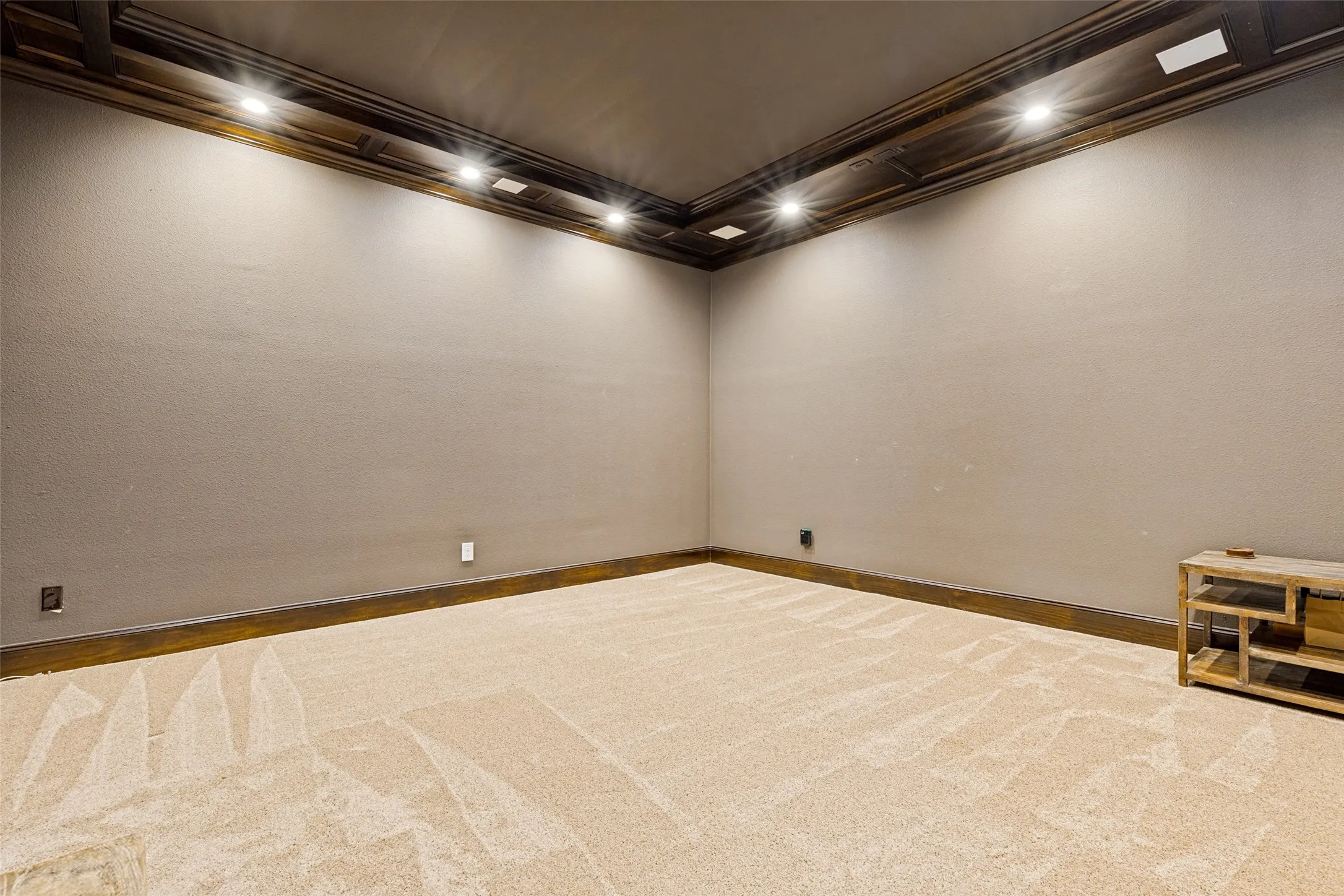Downstairs media room