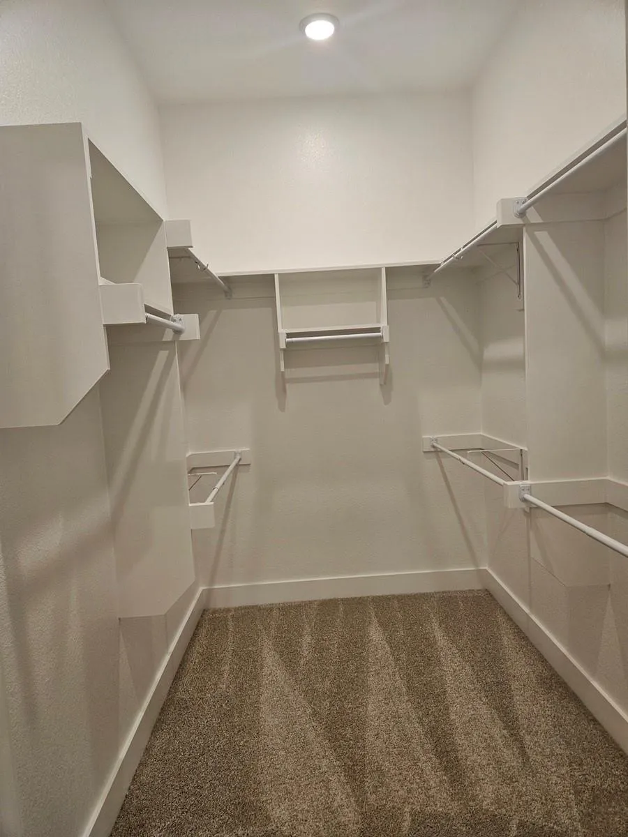Walk-in closet with built-in shelving, hanging rods, recessed ceiling light, and carpet flooring