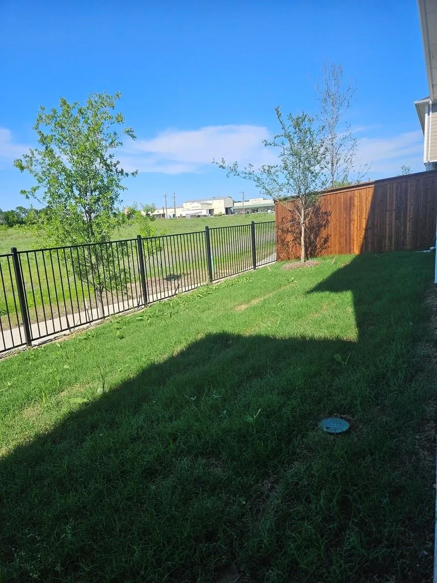Expansive lawn with a wood privacy fence and a black metal perimeter fence