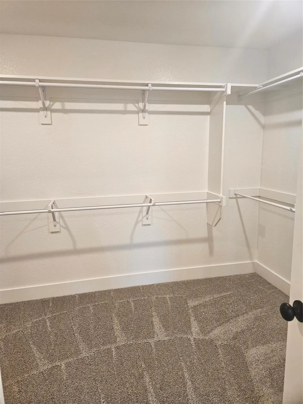 Walk-in closet featuring white wall-mounted shelving and hanging rods, white trim, and patterned carpeting