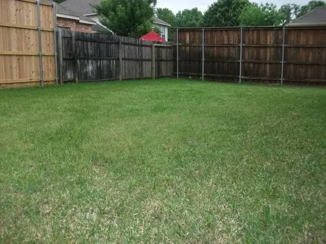 Expansive grassy area with wood panel fencing