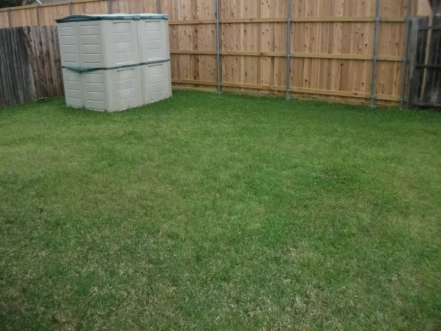 Expansive lawn area enclosed by a wooden privacy fence