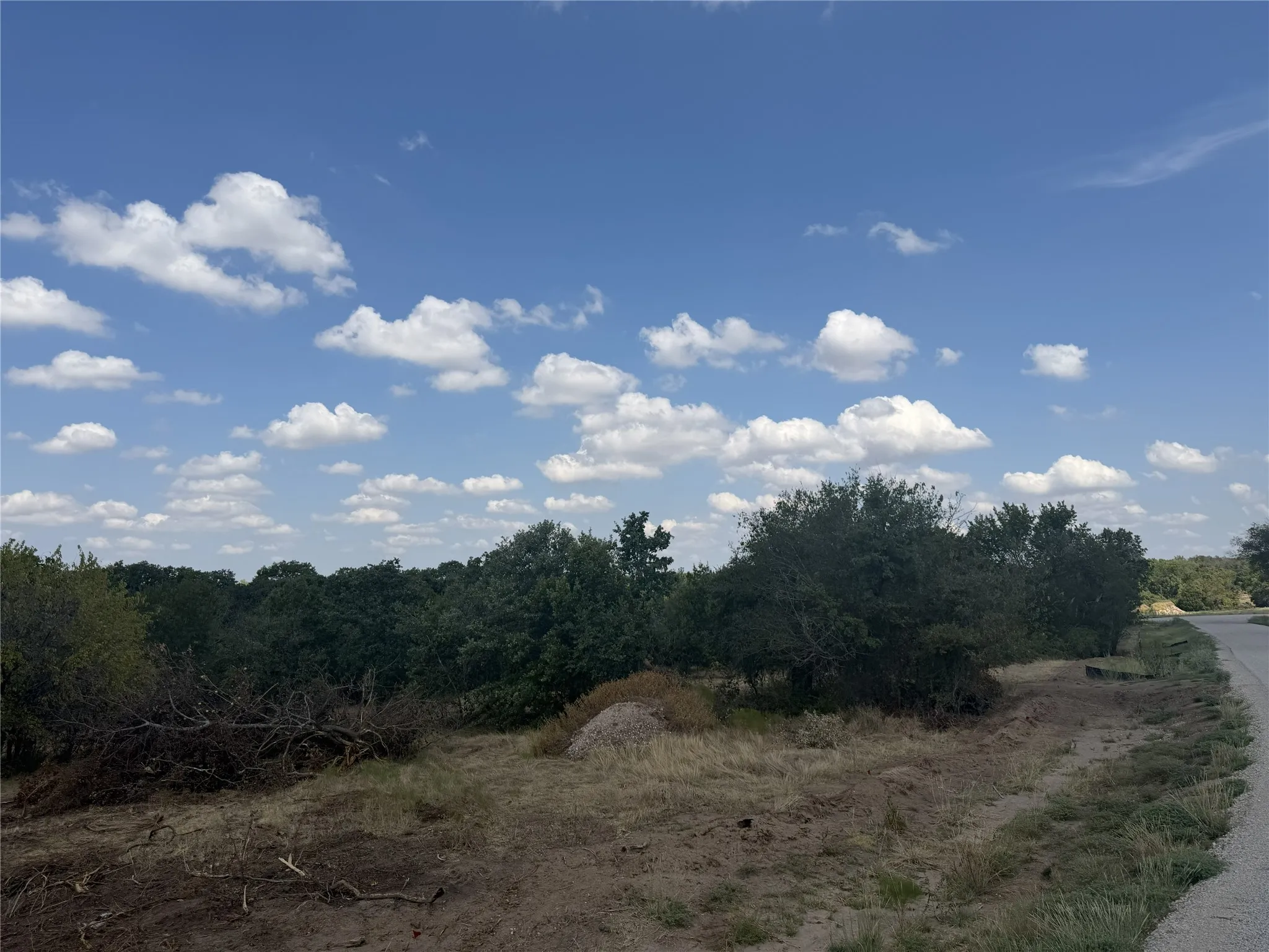 Expansive land parcel with mature trees and natural vegetation