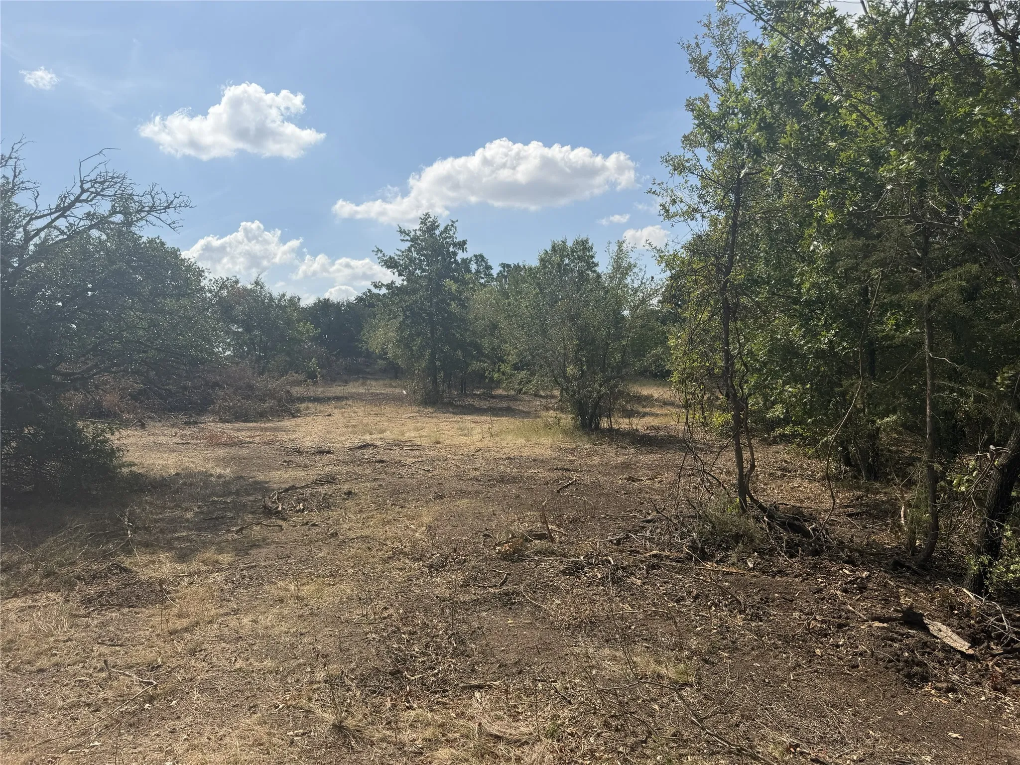 Wooded lot featuring mature trees and open clearings