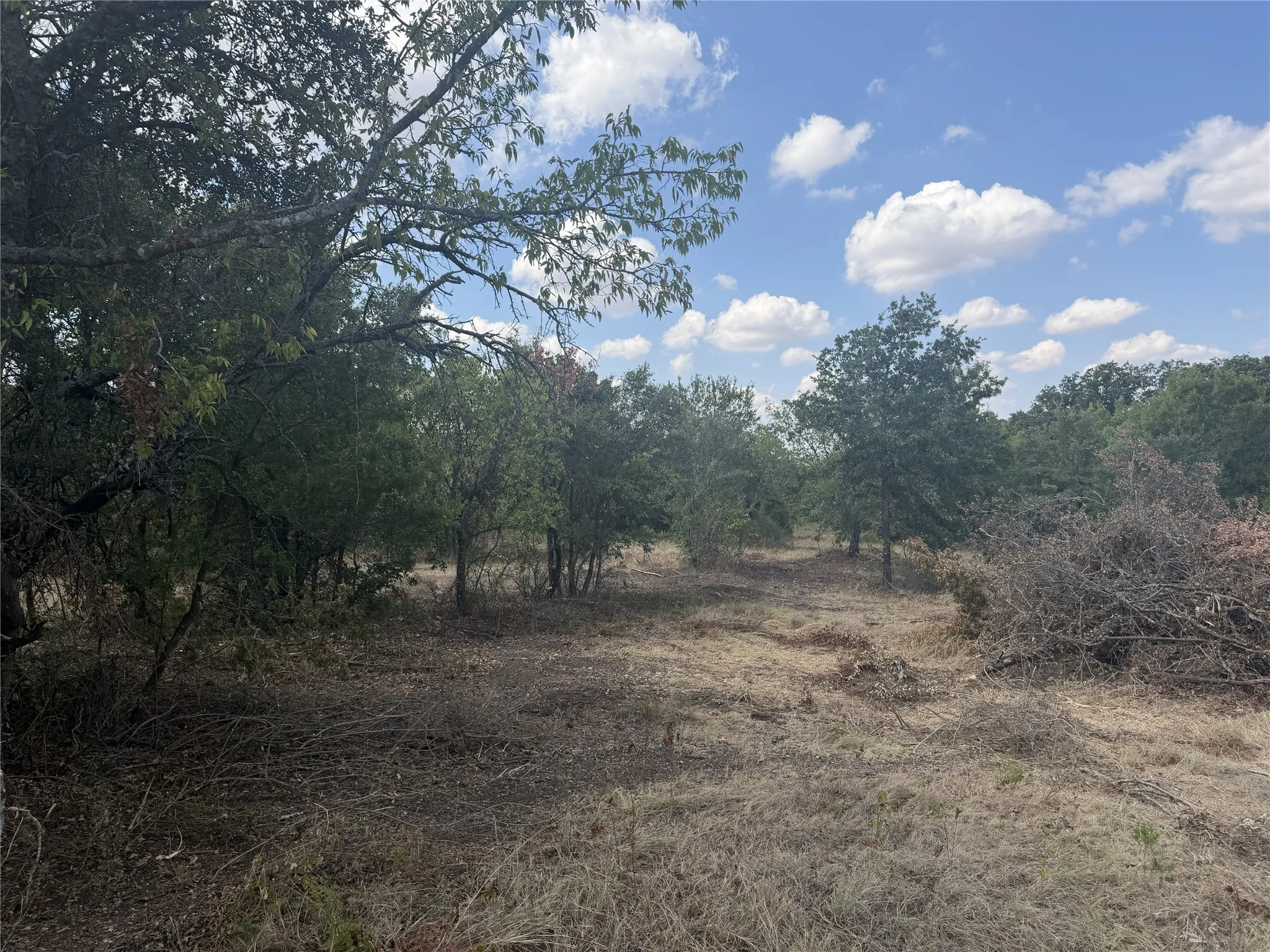 Expansive land offering a mix of mature trees, natural foliage, and open areas