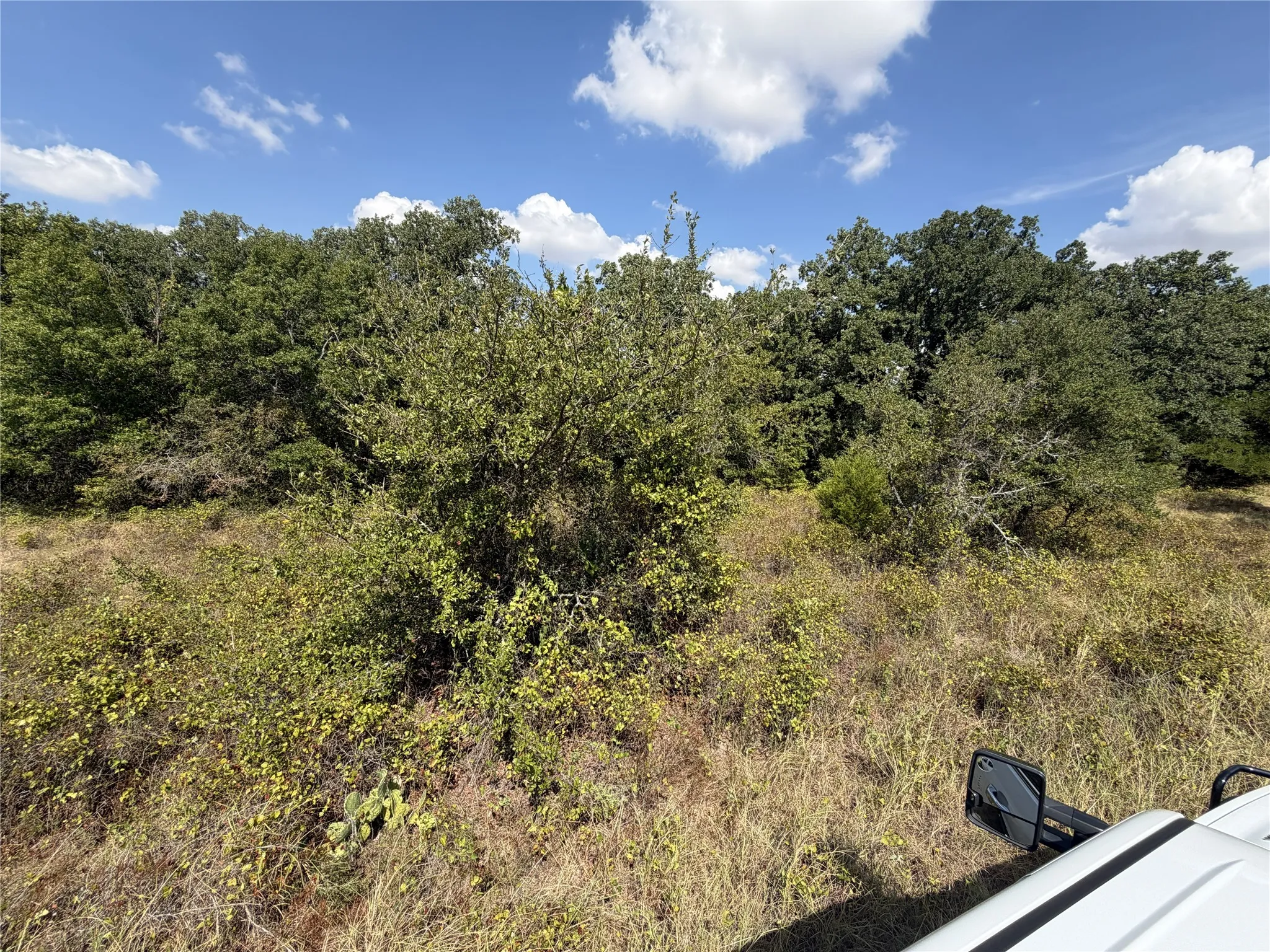 Expansive natural landscape featuring dense tree lines and varied vegetation
