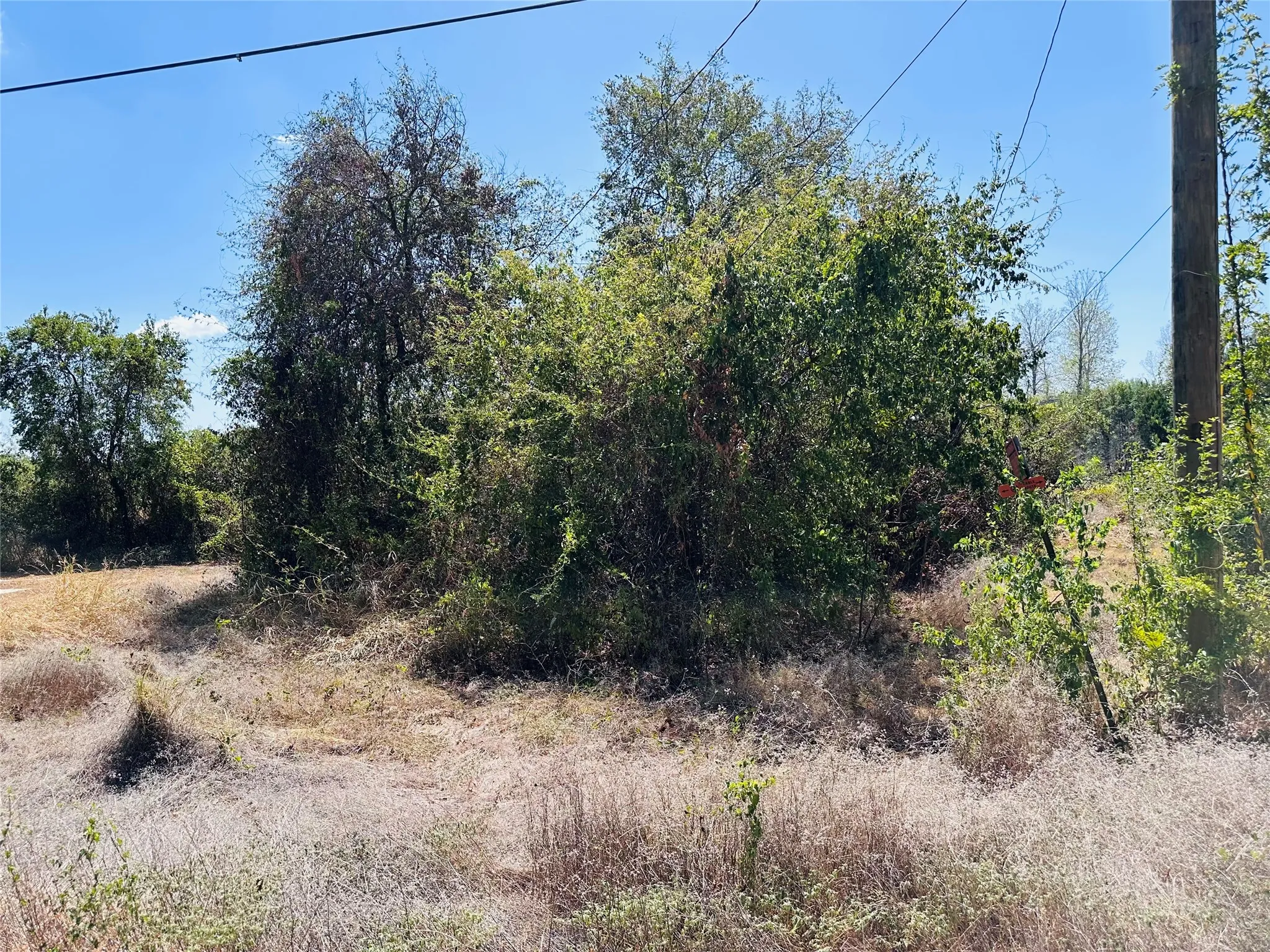 Unimproved Land For Sale