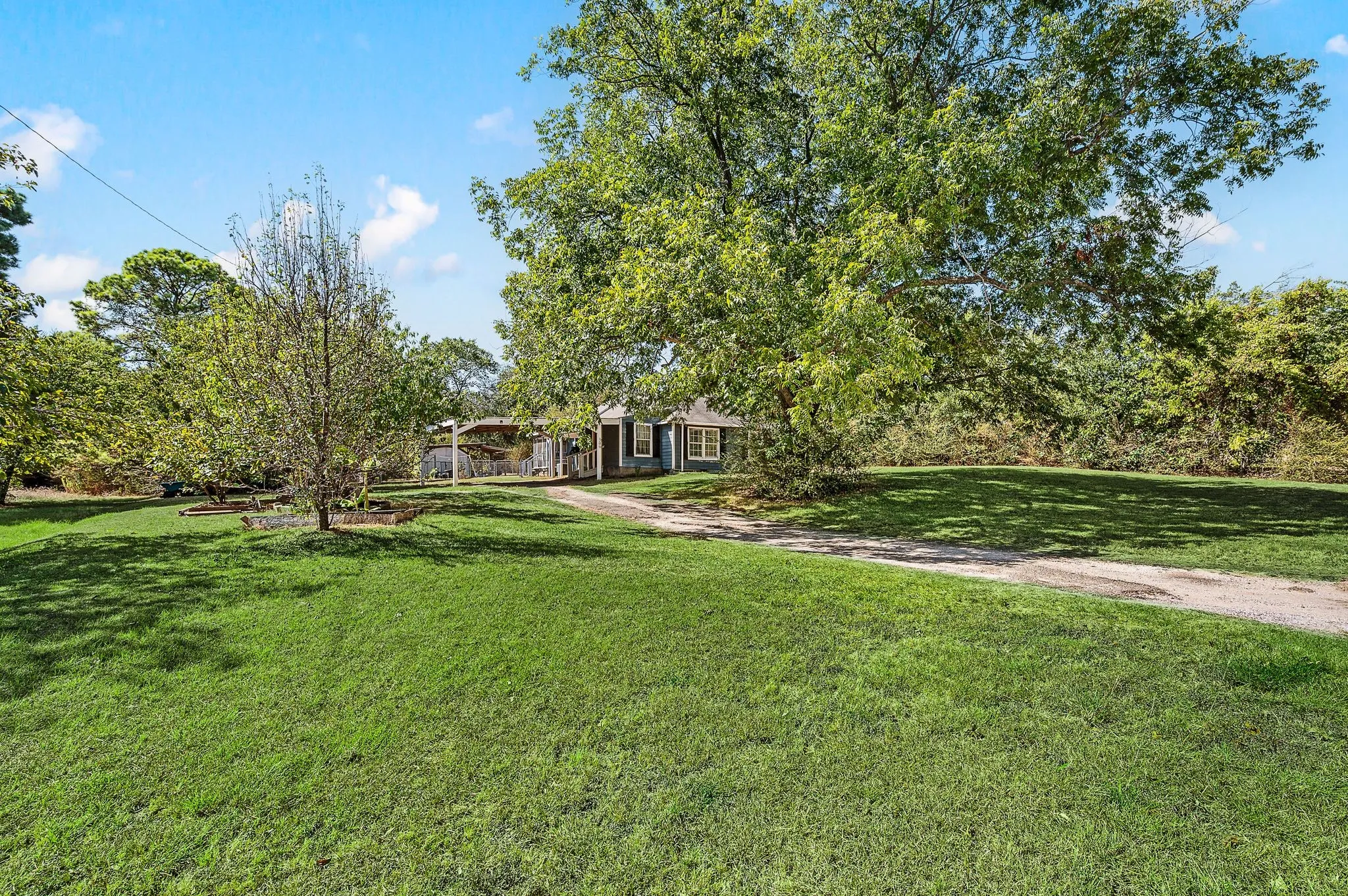 Expansive grassy lawn with established trees and a gravel driveway
