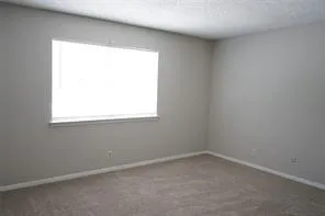 Neutral tone wall paint, carpeted flooring, and a single window with blinds