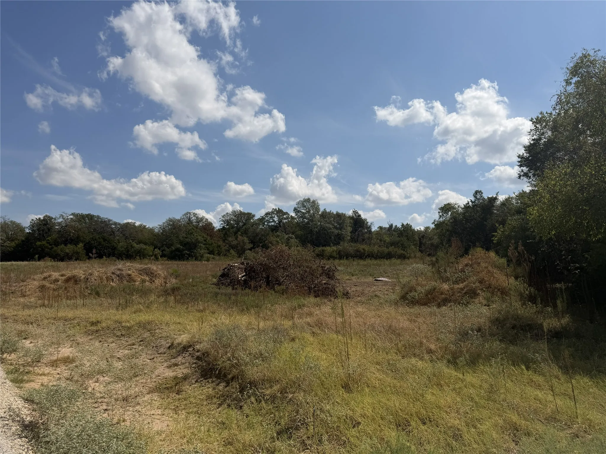 Expansive undeveloped land featuring natural vegetation and surrounding mature trees