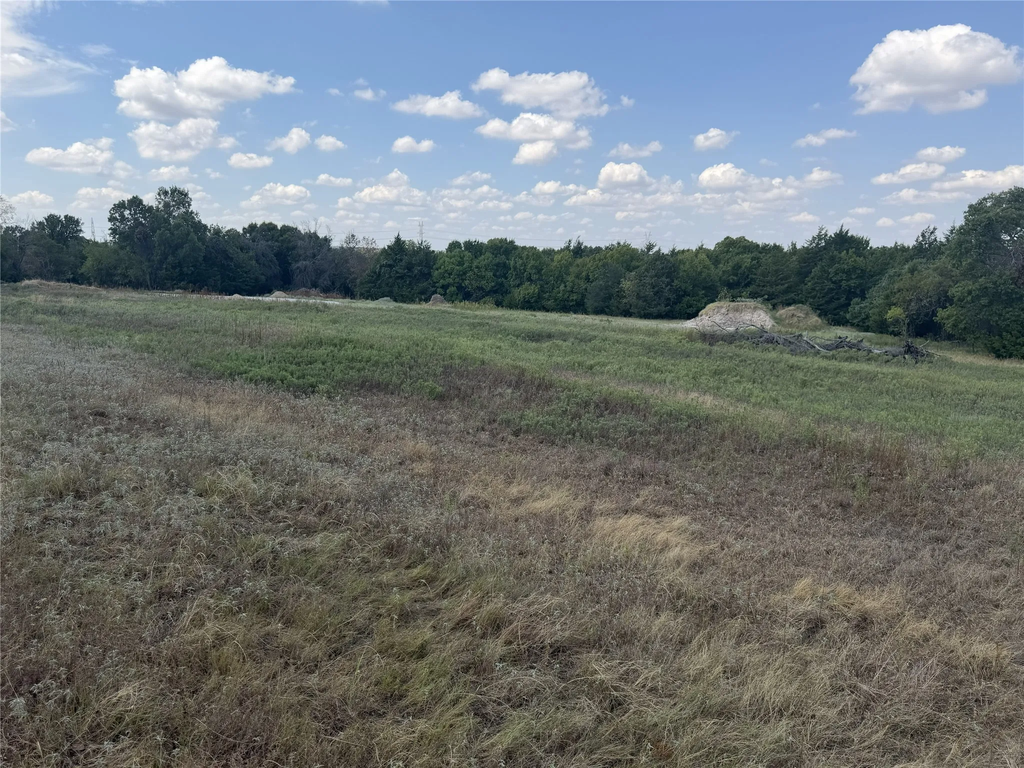 Expansive open field with natural vegetation and distant tree lines