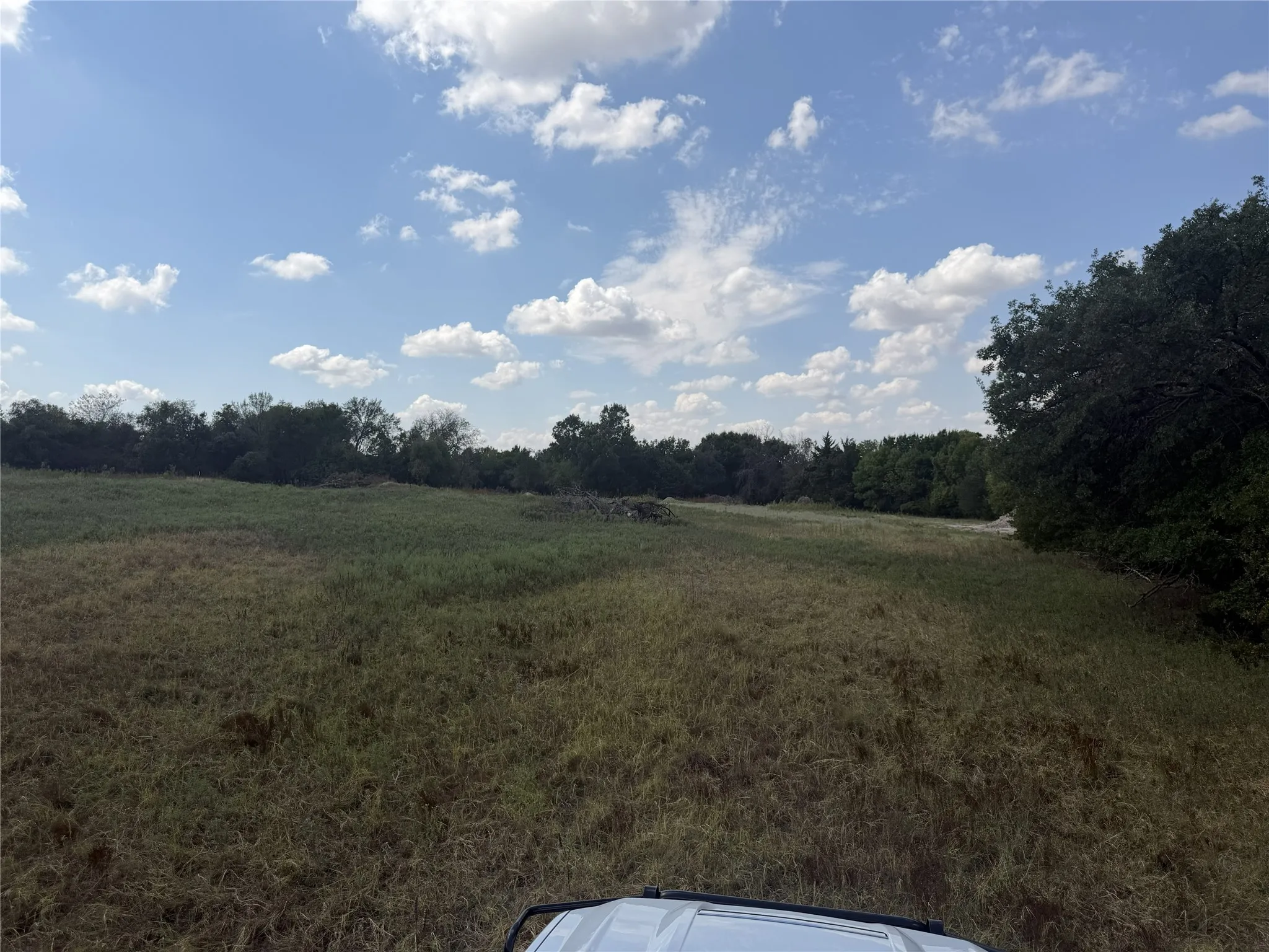 Expansive open field with natural vegetation and distant tree lines