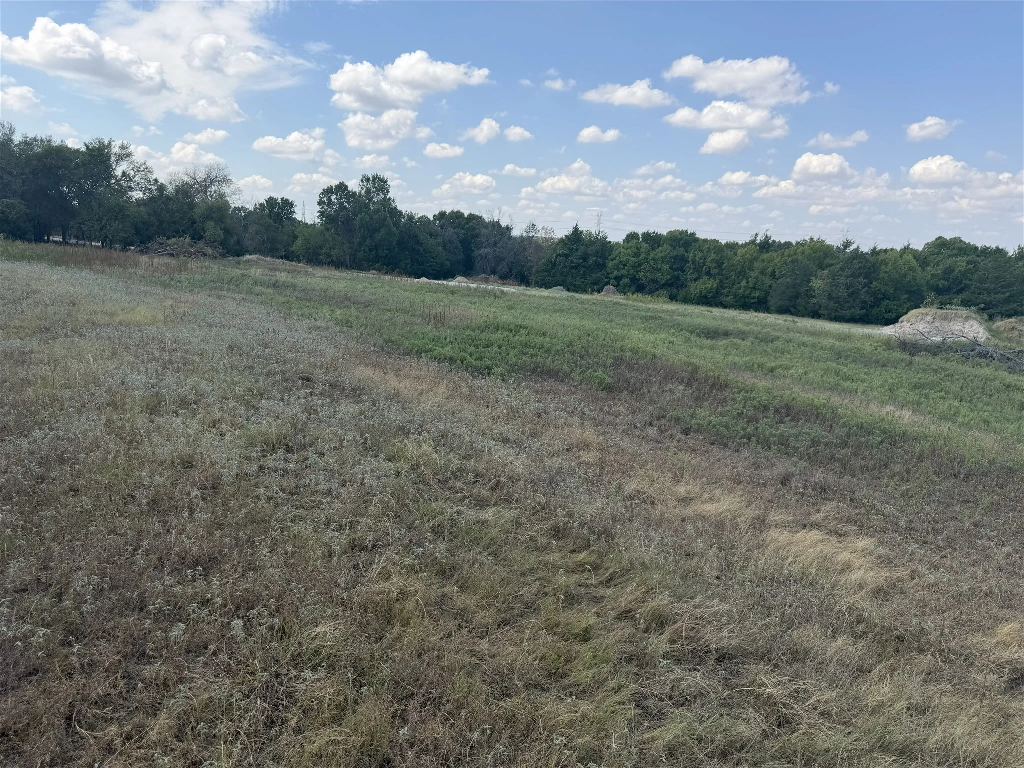Expansive open land featuring natural vegetation and distant trees