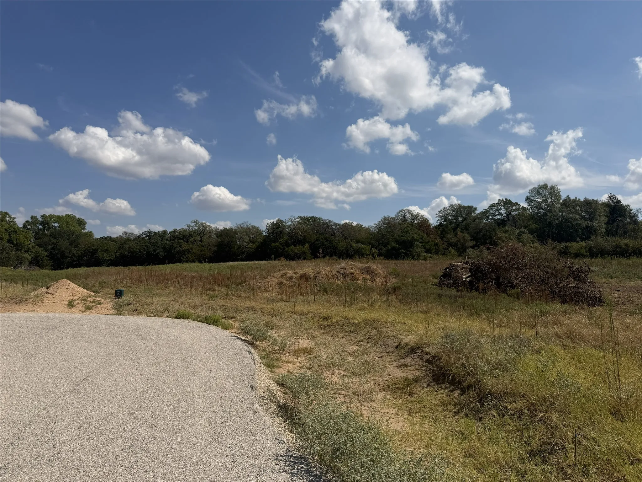 Expansive undeveloped land featuring natural vegetation and a gravel access road