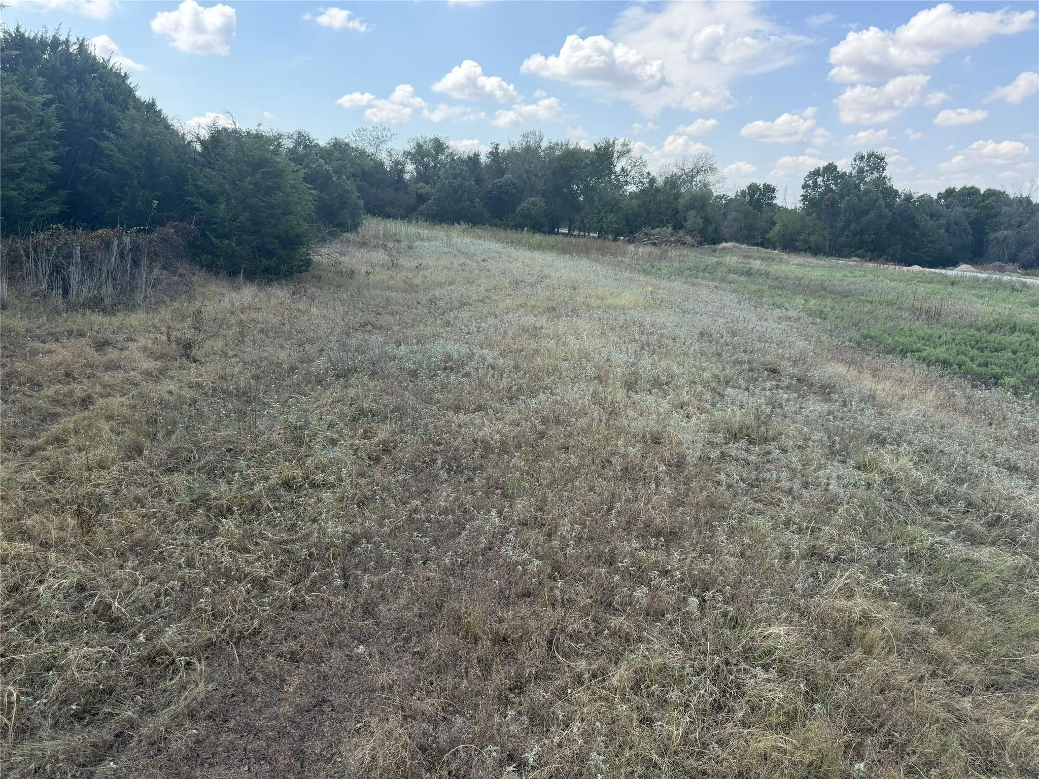 Expansive open field with natural vegetation and mature trees bordering the perimeter