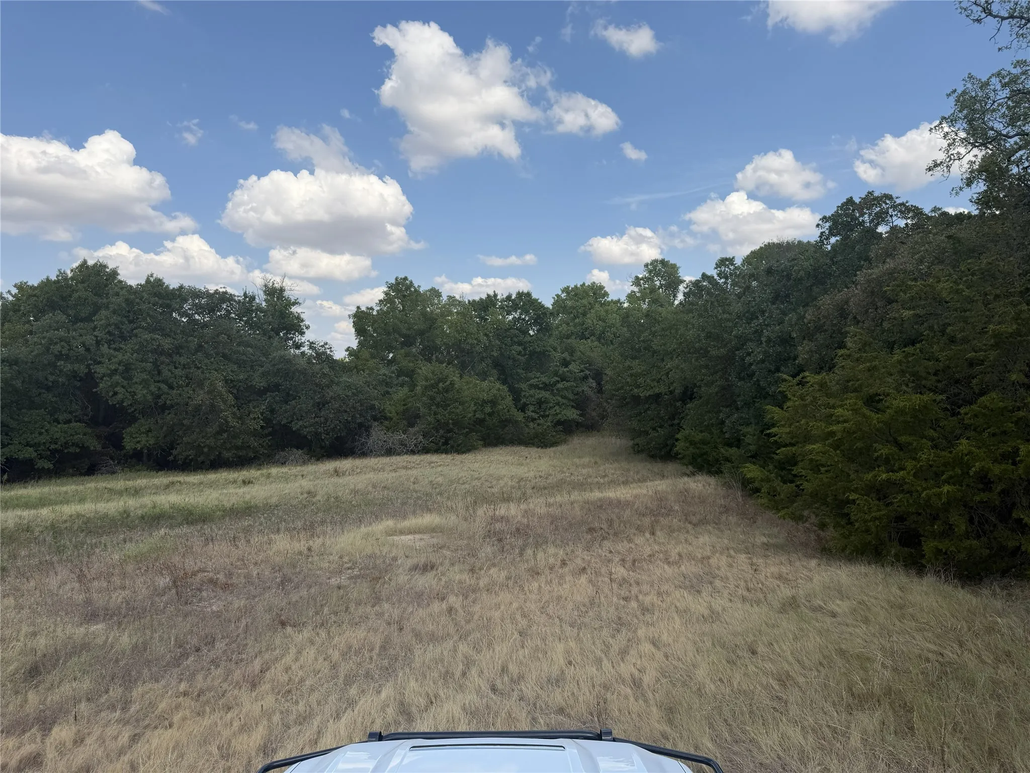 Expansive natural landscape featuring mature trees and open fields