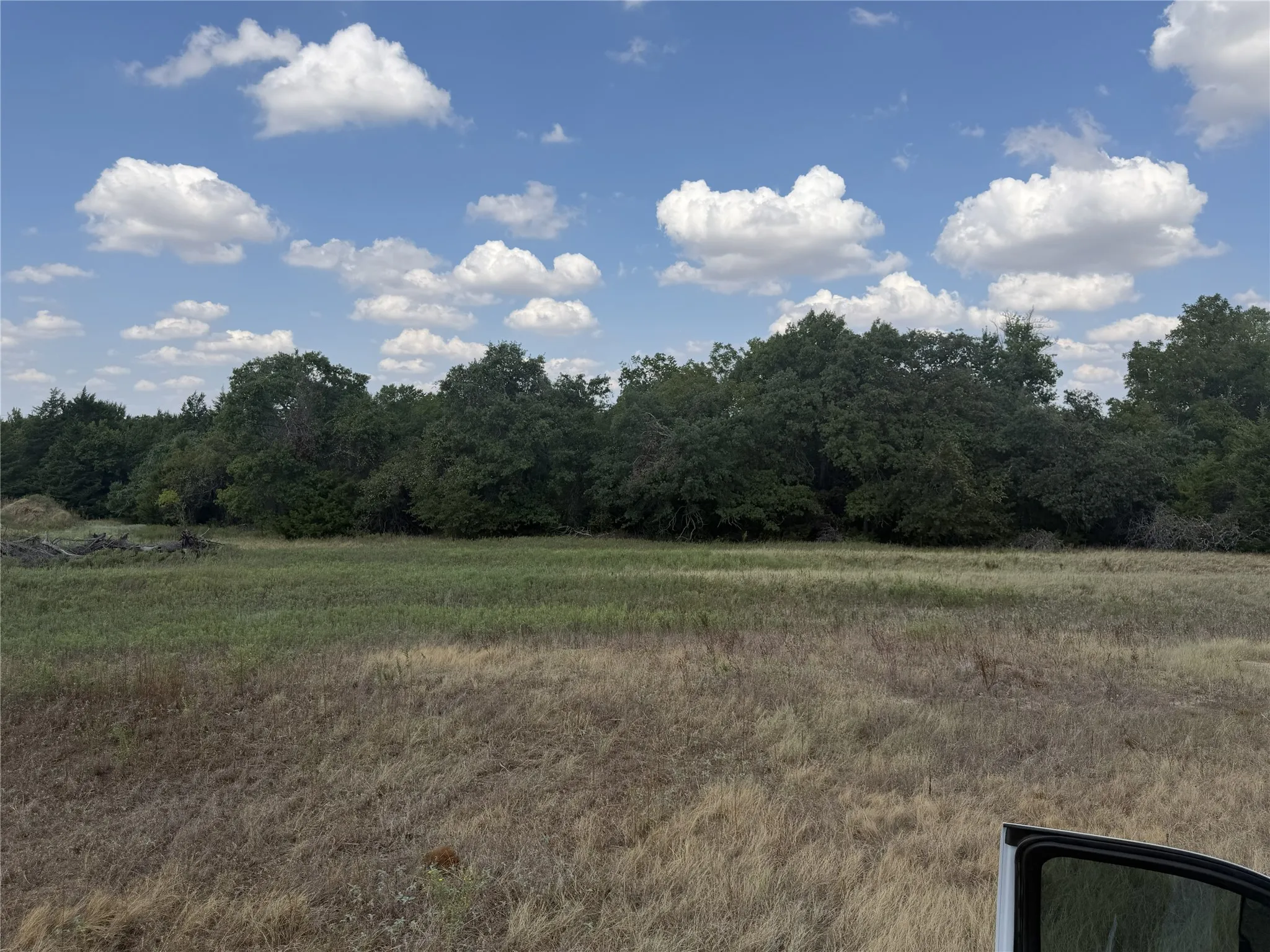 Expansive land parcel featuring open fields and a dense tree line
