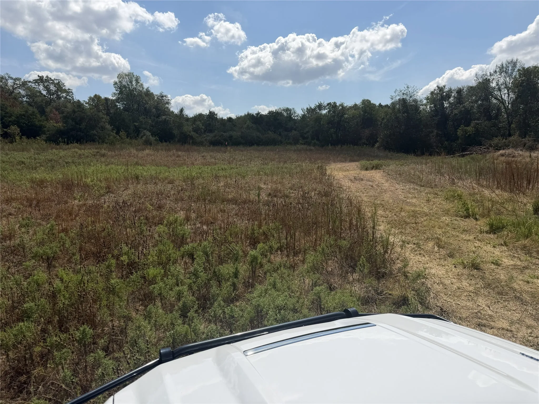 Expansive open field surrounded by mature trees