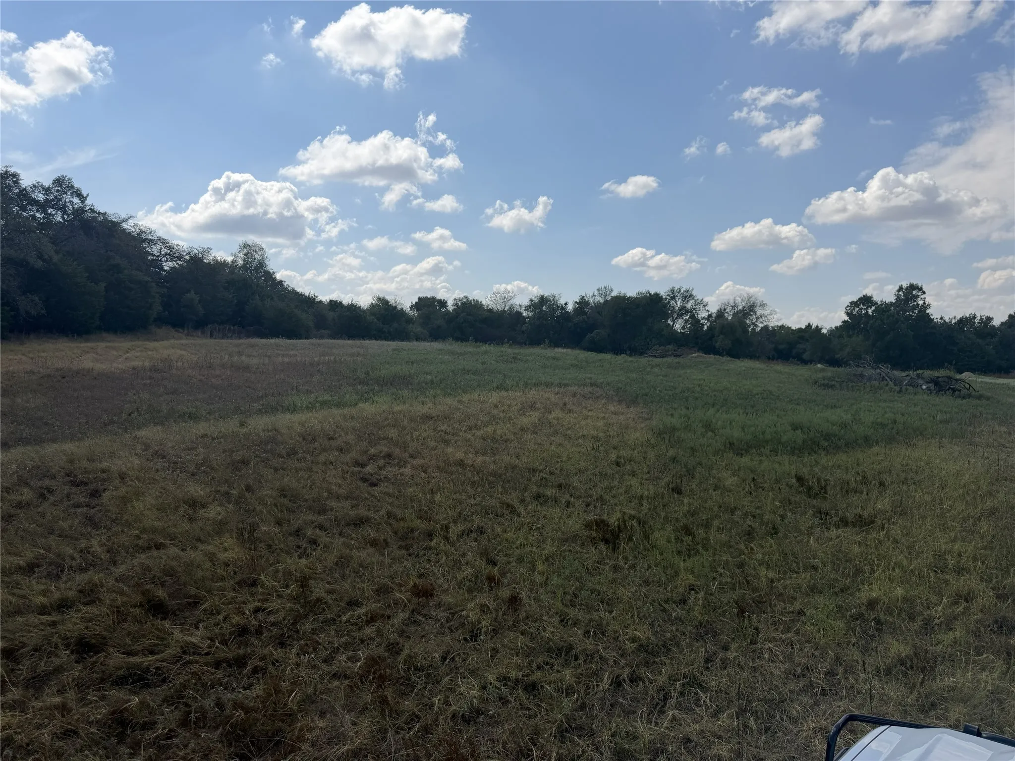 Expansive open field with varied green and brown vegetation, bordered by mature trees