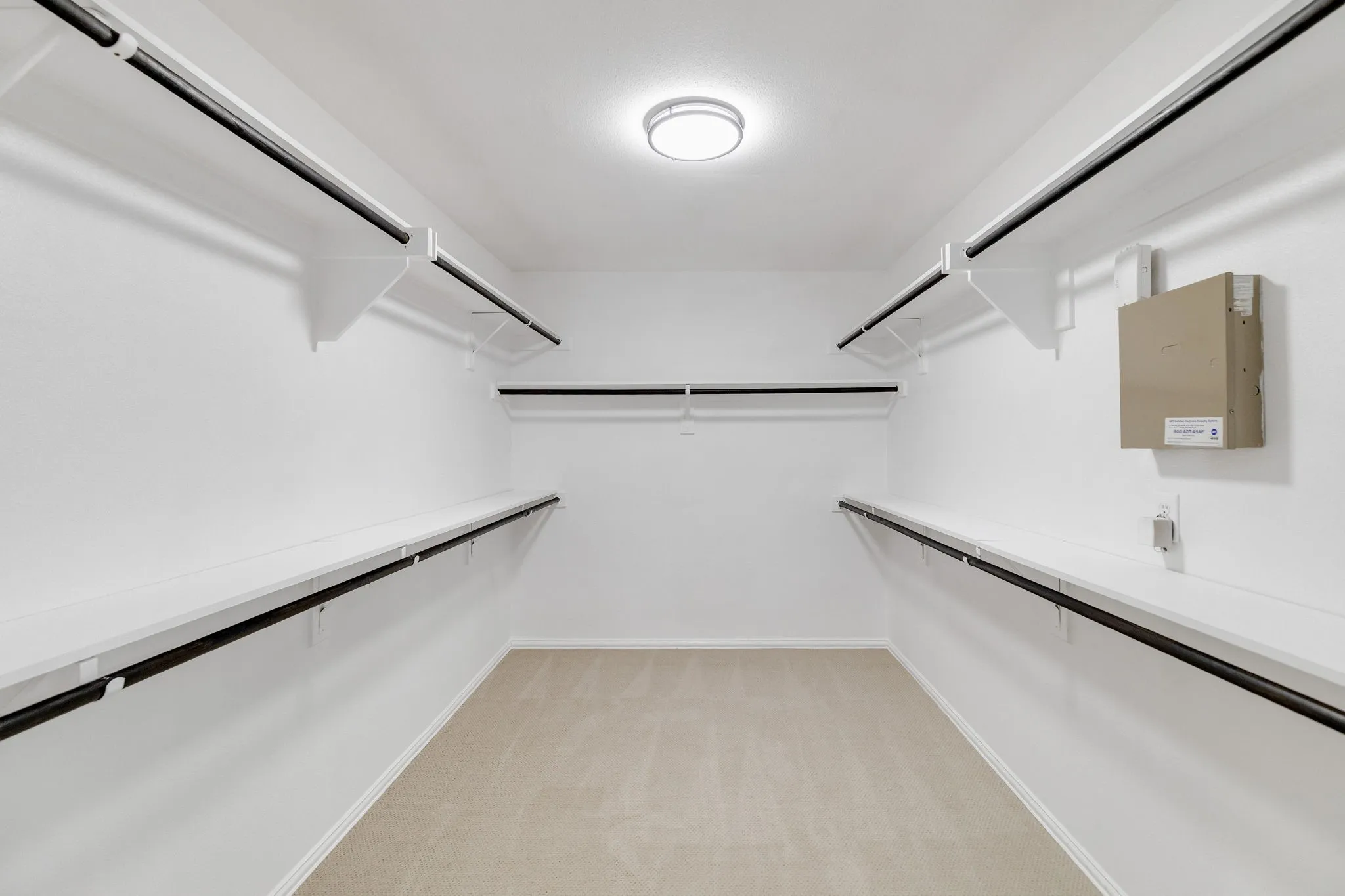 Walk-in closet with carpet flooring, white walls, built-in shelving, and hanging rods