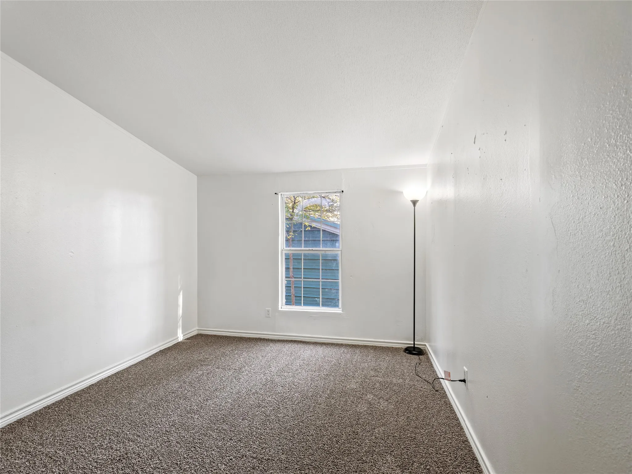 Carpeted flooring, single pane window, and white walls