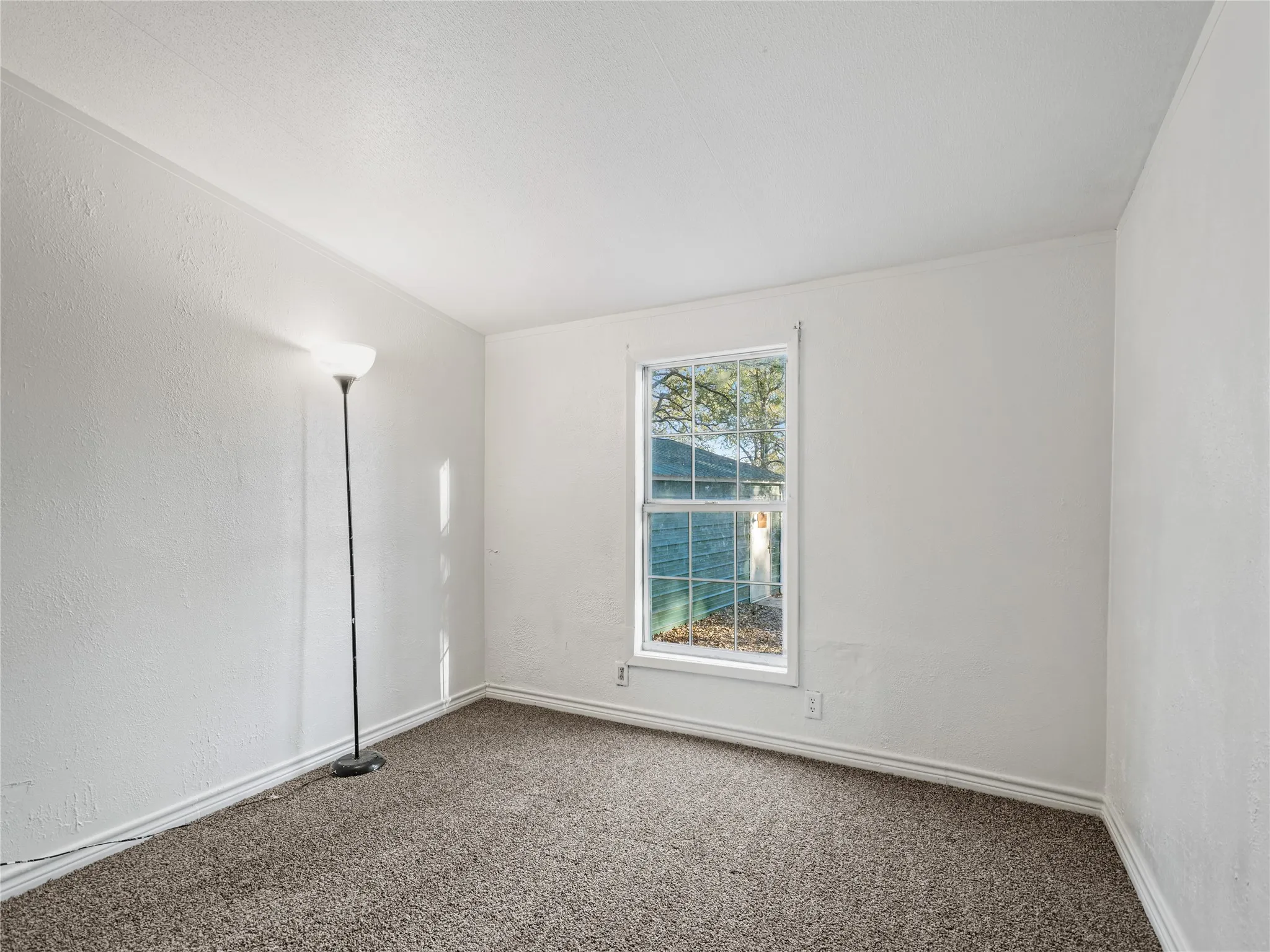 Carpeted flooring, white walls, and a single window