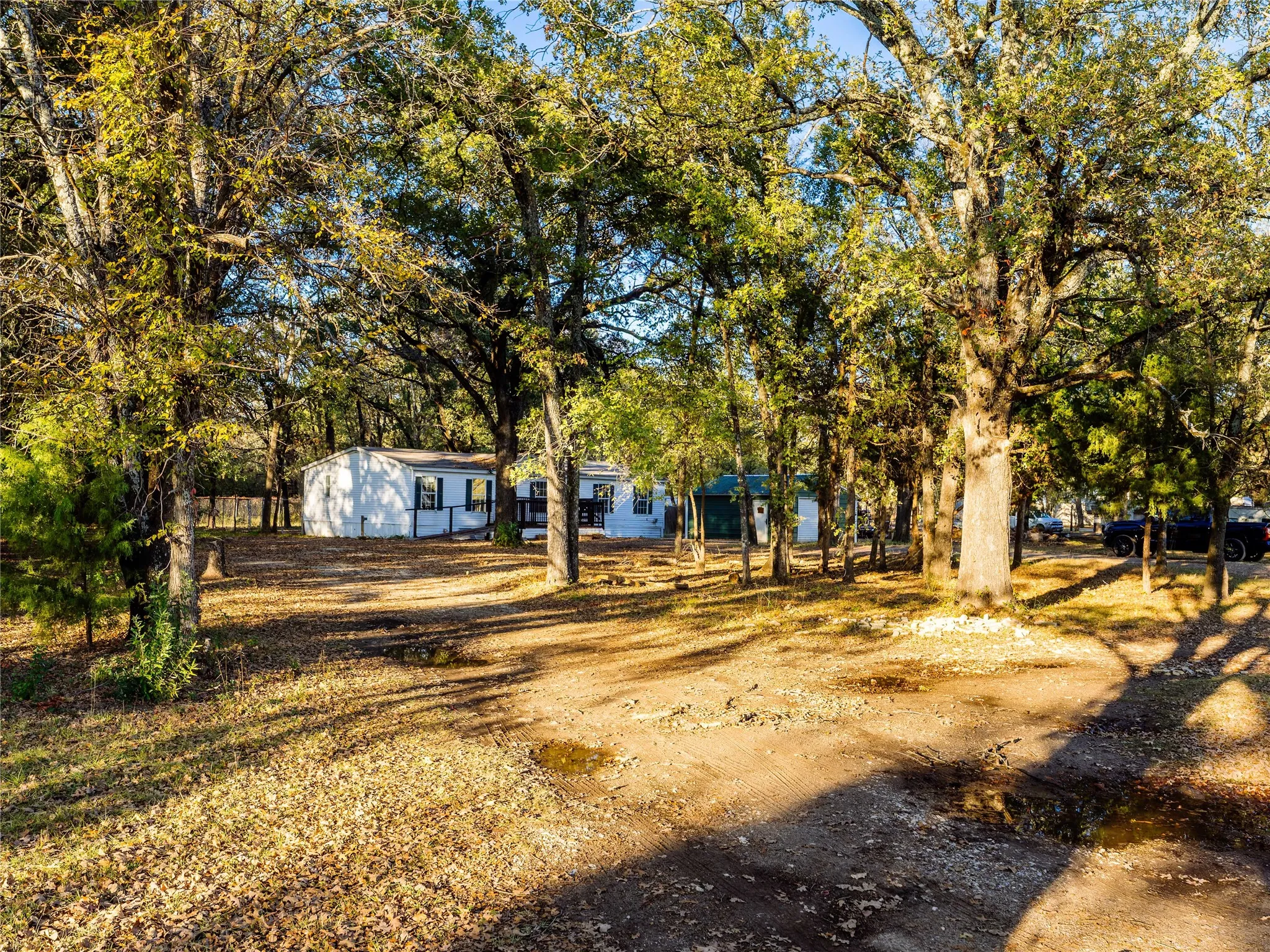 Extensive tree canopy providing ample shade