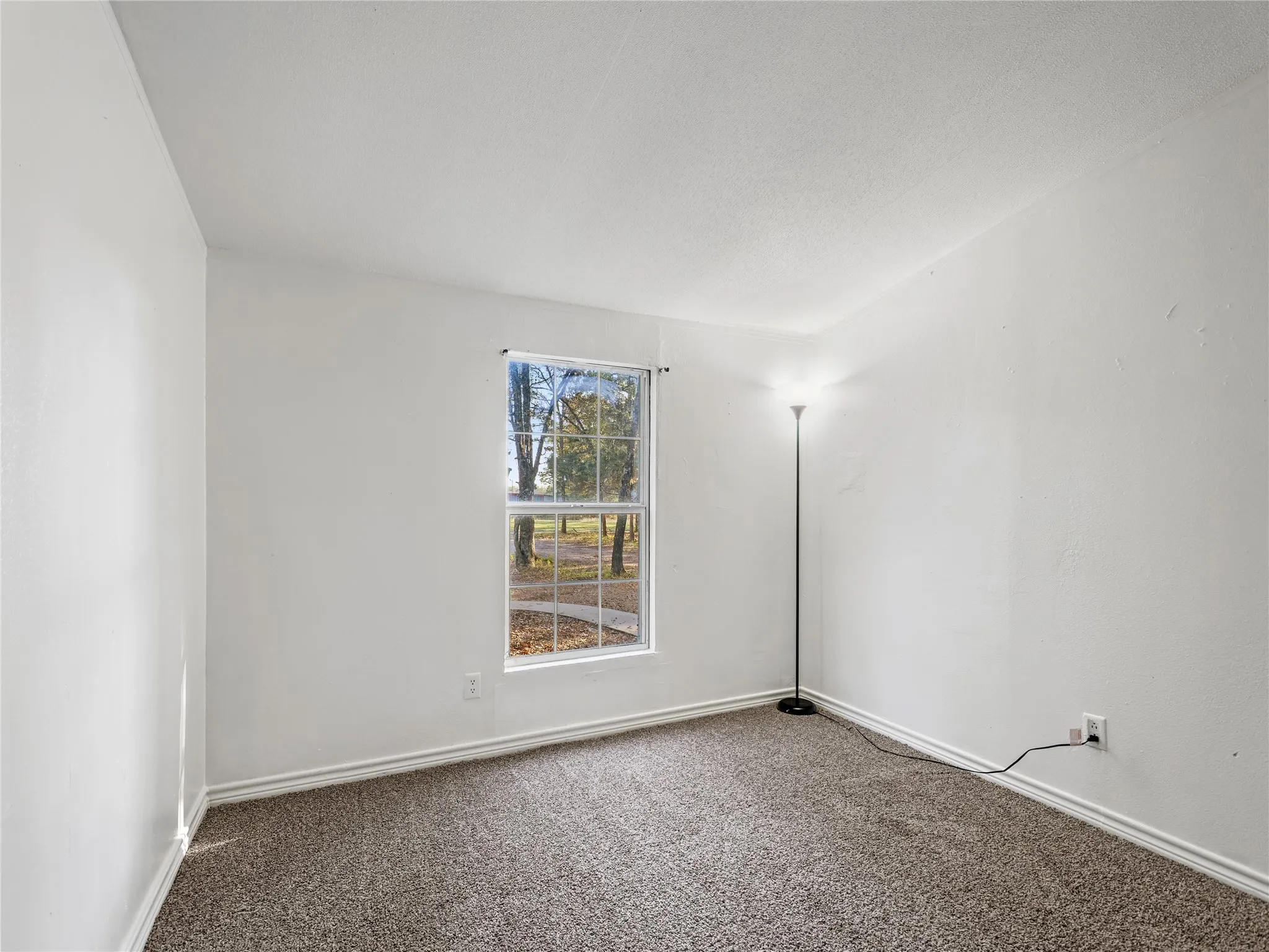 Bright, light-filled bedroom showcasing neutral carpet flooring, large double-hung window with natural outdoor views, and clean white walls