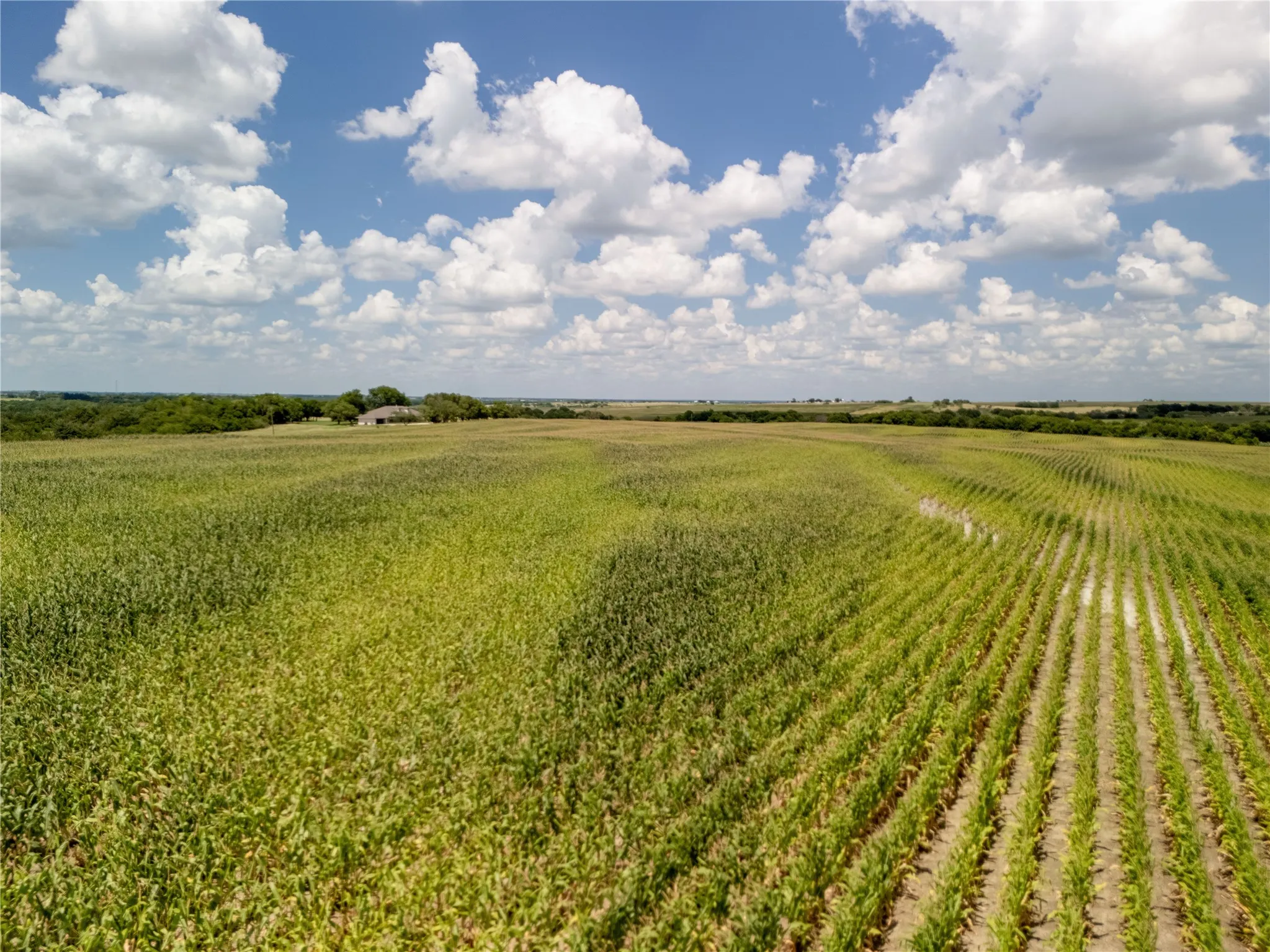 View of yard with agricultural area and a rural view