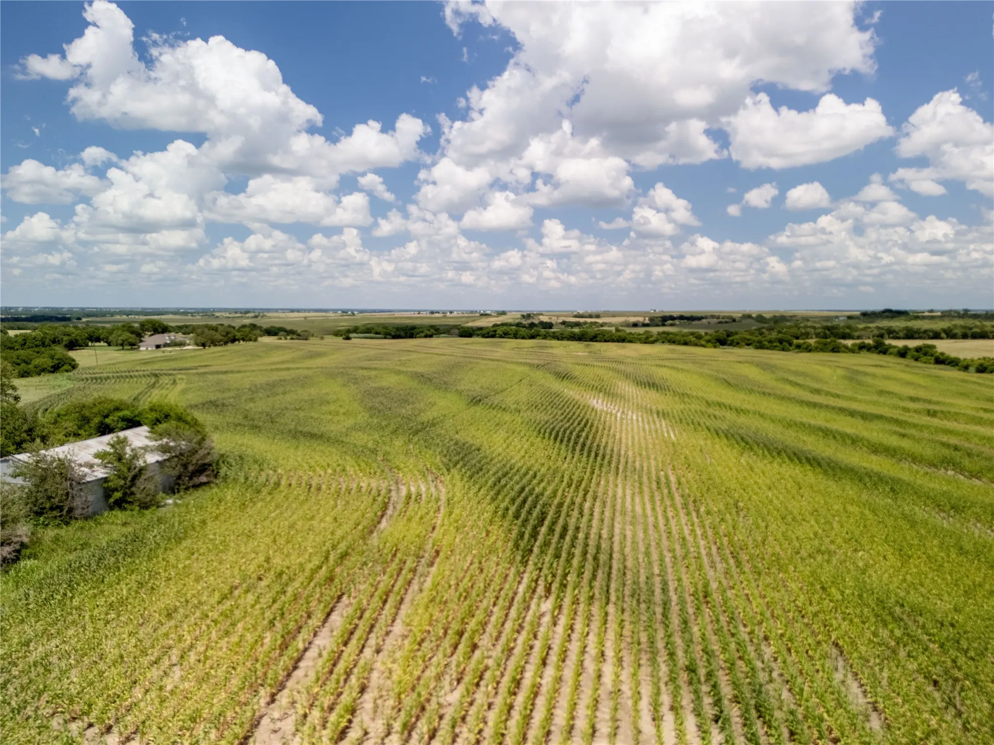 View of rural area featuring rows of crops