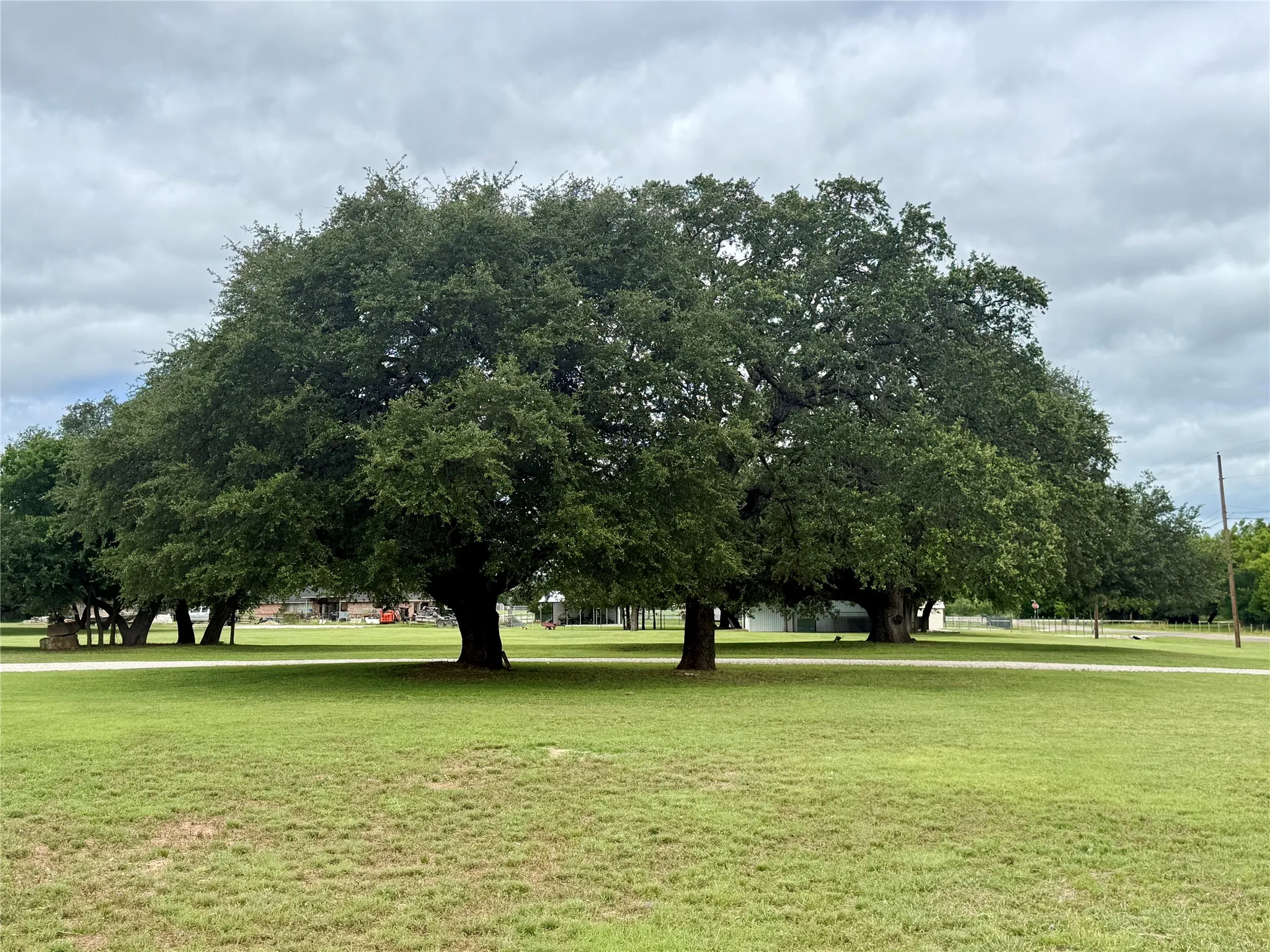 Improved Land For Sale in Brown County , 3500 Rhodes Road, Brownwood, Texas 76801, 0, 0, Garage spaces, 0 Sqft, built in 2020, mls#21390324, Real Estate Agent in Brownwood, Homes For Sale in Brown county, Homes For Sale in Brownwood, Realtor in Brownwood Texas, Real Estate Brokerage Independent Realty Texas, Luminita Cordes Realtor