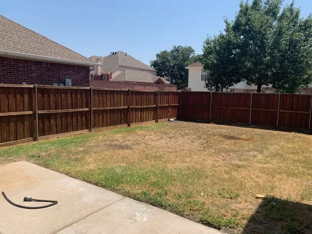 Backyard