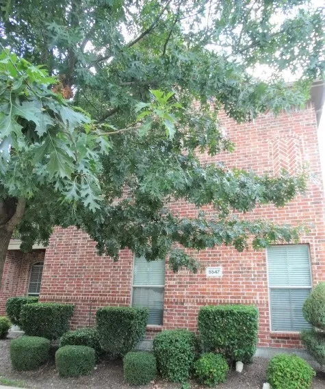 Single Family Residence For Rent in Collin County , 5547 Cecina Drive, Frisco, Texas 75034, 3 Bedroom, 3 Bathroom, 2 Garage spaces, 1,500 Sqft, built in 2007, mls#21390348, Real Estate Agent in Frisco, Homes For Rent in Collin county, Homes For Rent in Frisco, Realtor in Frisco Texas, Real Estate Brokerage Independent Realty Texas, Luminita Cordes Realtor