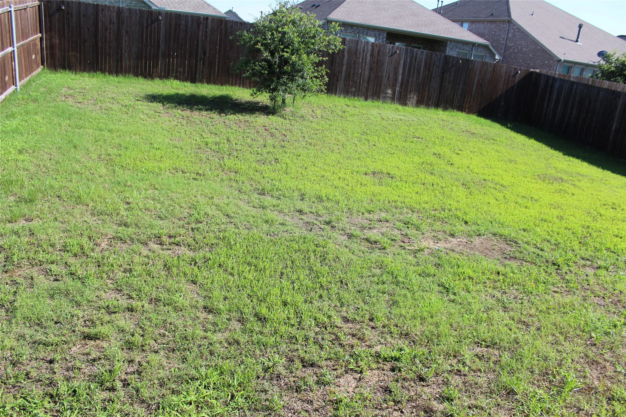 Expansive backyard with a full privacy fence and established greenery