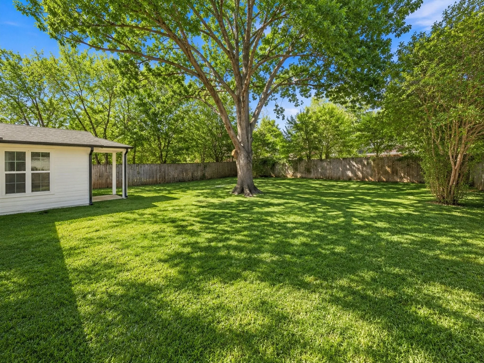 Expansive green lawn featuring a mature shade tree, privacy fencing, and a covered patio area