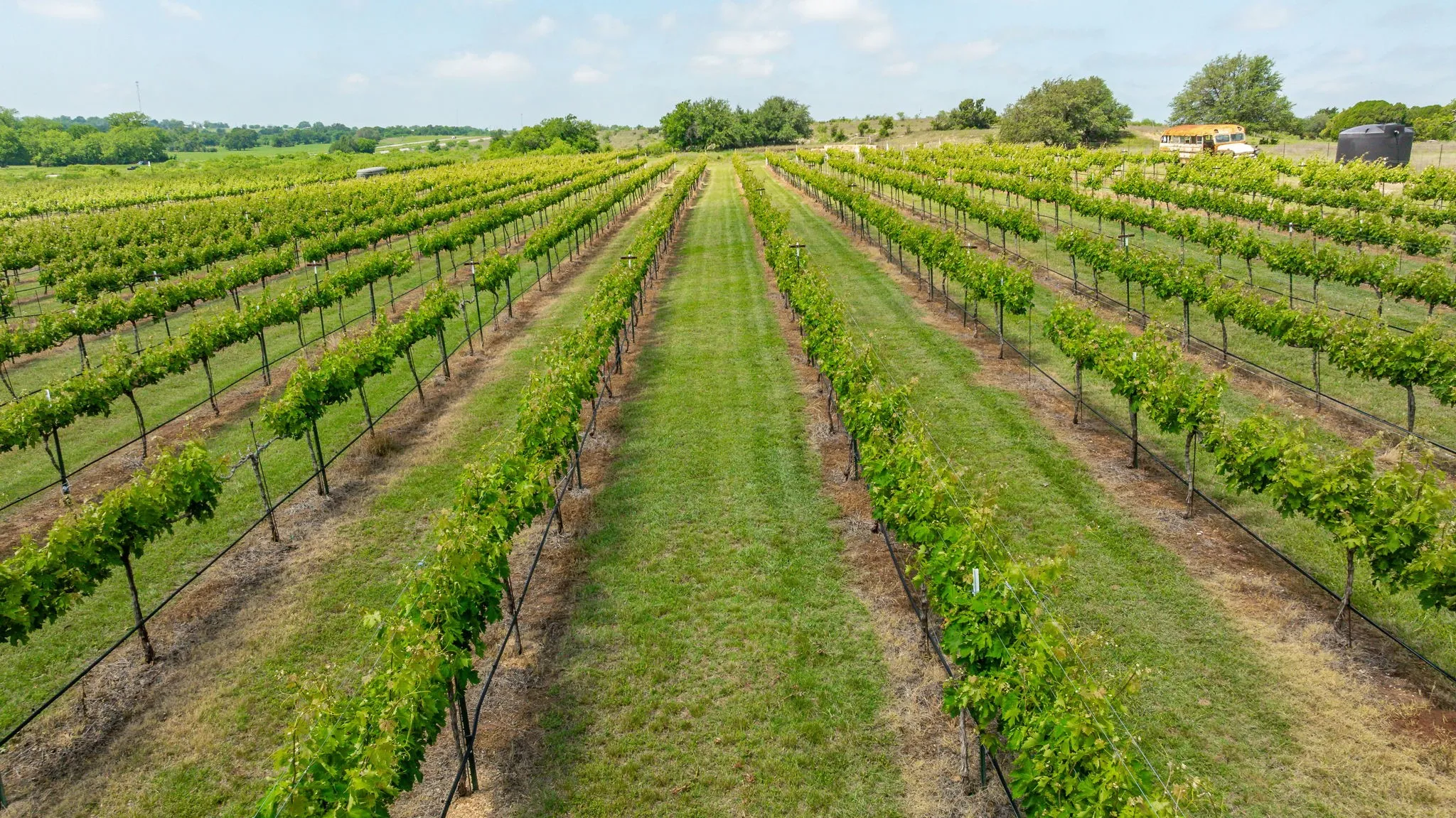 Improved Land For Sale in Erath County , 675 County Road 497 A, Dublin, Texas 76446, 0, 0, Garage spaces, 0 Sqft, built in 2018, mls#21390350, Real Estate Agent in Dublin, Homes For Sale in Erath county, Homes For Sale in Dublin, Realtor in Dublin Texas, Real Estate Brokerage Independent Realty Texas, Luminita Cordes Realtor