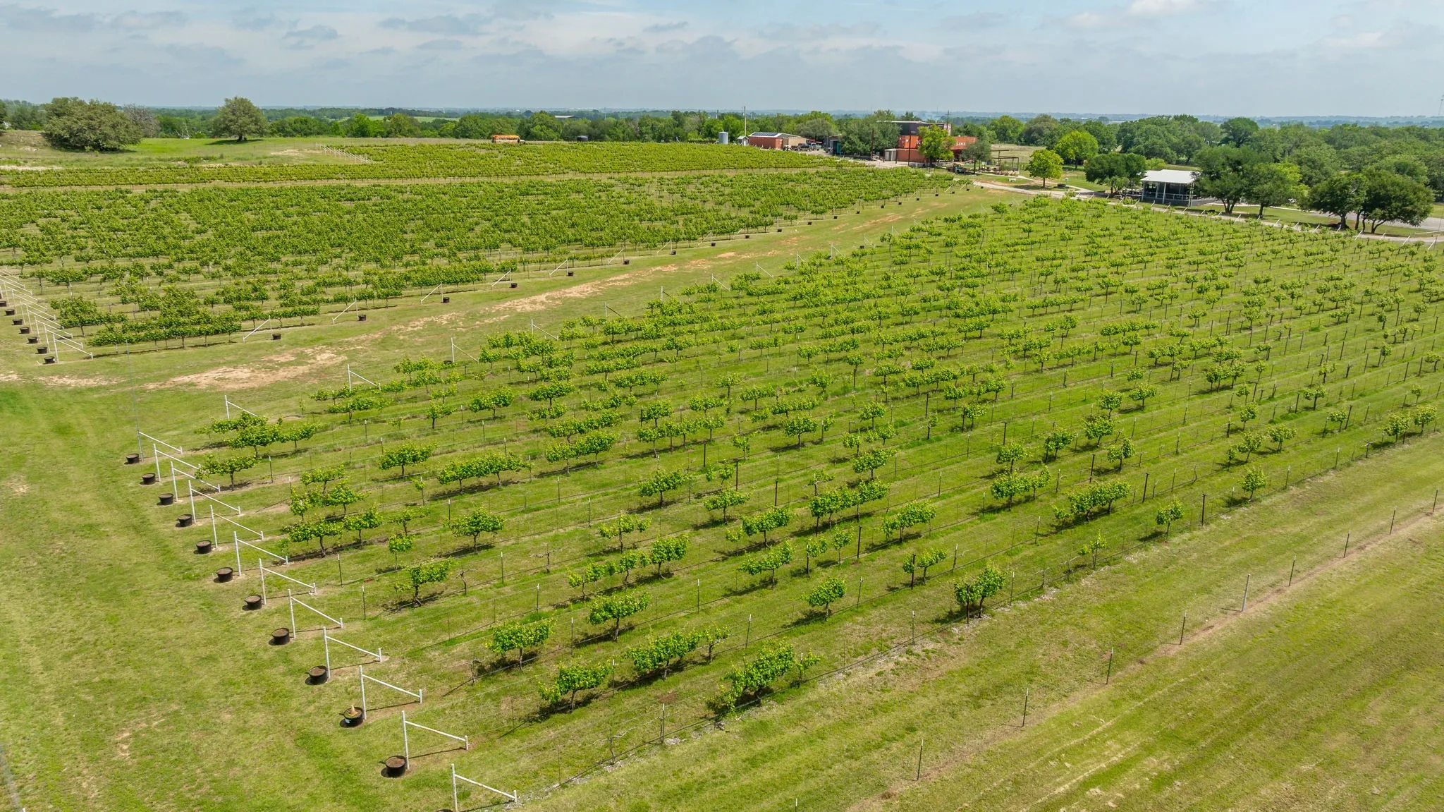 Improved Land For Sale in Erath County , 675 County Road 497 A, Dublin, Texas 76446, 0, 0, Garage spaces, 0 Sqft, built in 2018, mls#21390350, Real Estate Agent in Dublin, Homes For Sale in Erath county, Homes For Sale in Dublin, Realtor in Dublin Texas, Real Estate Brokerage Independent Realty Texas, Luminita Cordes Realtor