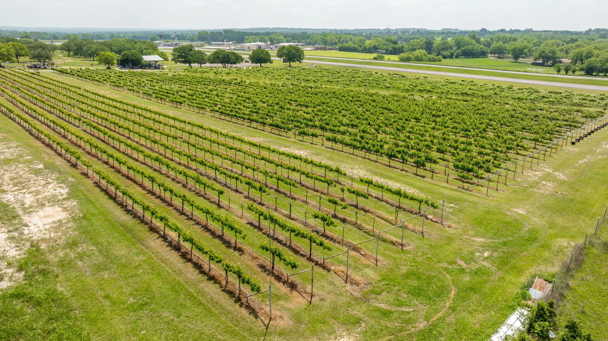 Improved Land For Sale in Erath County , 675 County Road 497 A, Dublin, Texas 76446, 0, 0, Garage spaces, 0 Sqft, built in 2018, mls#21390350, Real Estate Agent in Dublin, Homes For Sale in Erath county, Homes For Sale in Dublin, Realtor in Dublin Texas, Real Estate Brokerage Independent Realty Texas, Luminita Cordes Realtor