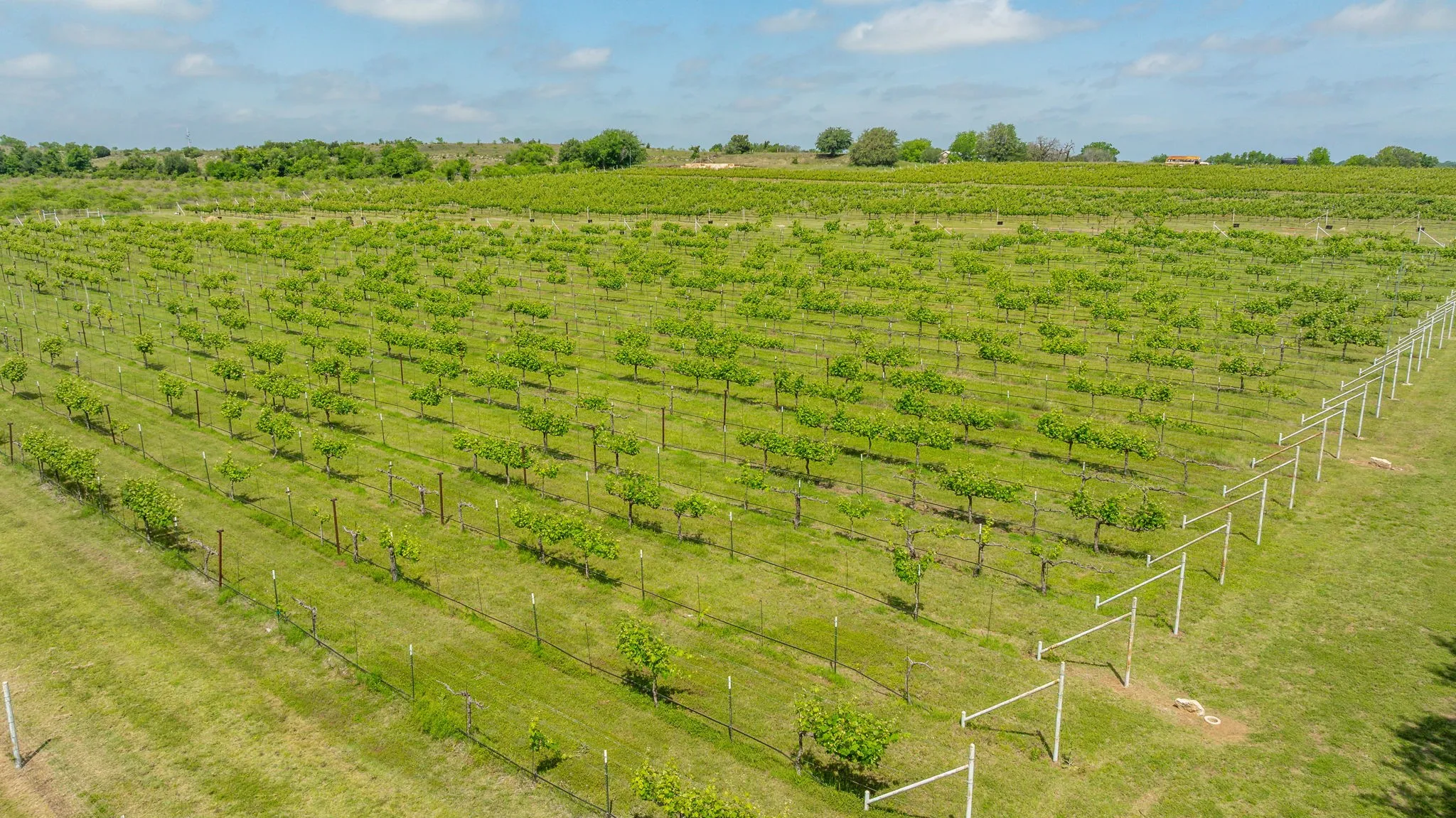 Improved Land For Sale in Erath County , 675 County Road 497 A, Dublin, Texas 76446, 0, 0, Garage spaces, 0 Sqft, built in 2018, mls#21390350, Real Estate Agent in Dublin, Homes For Sale in Erath county, Homes For Sale in Dublin, Realtor in Dublin Texas, Real Estate Brokerage Independent Realty Texas, Luminita Cordes Realtor